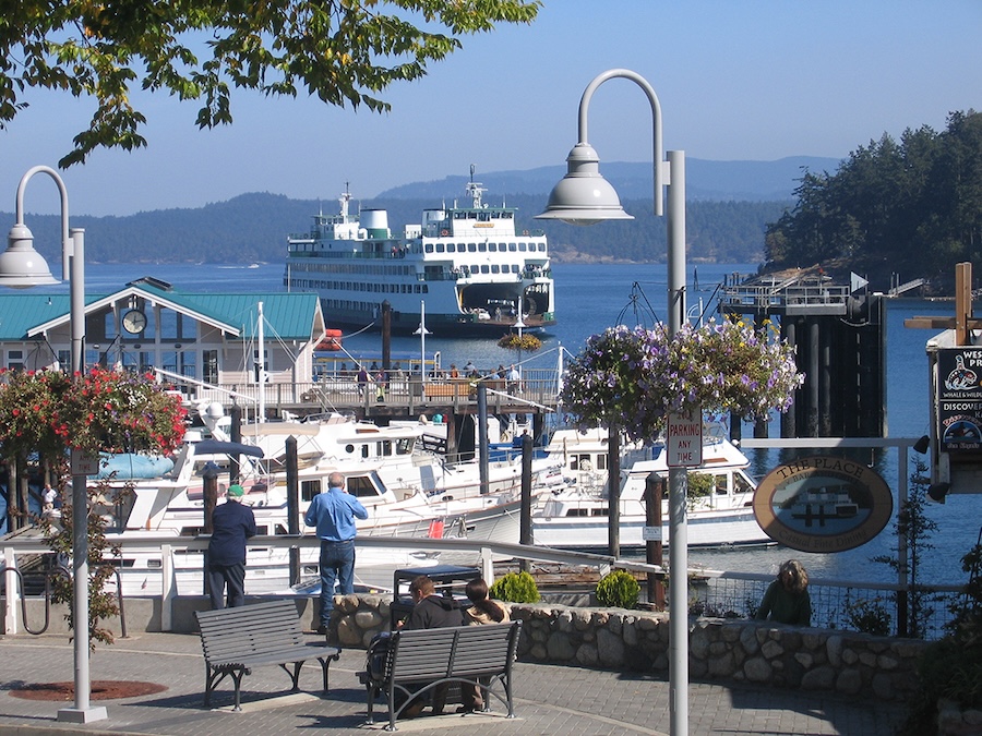 A waterfront marina with docked boats and people sitting on benches, while a ferry approaches in the background.