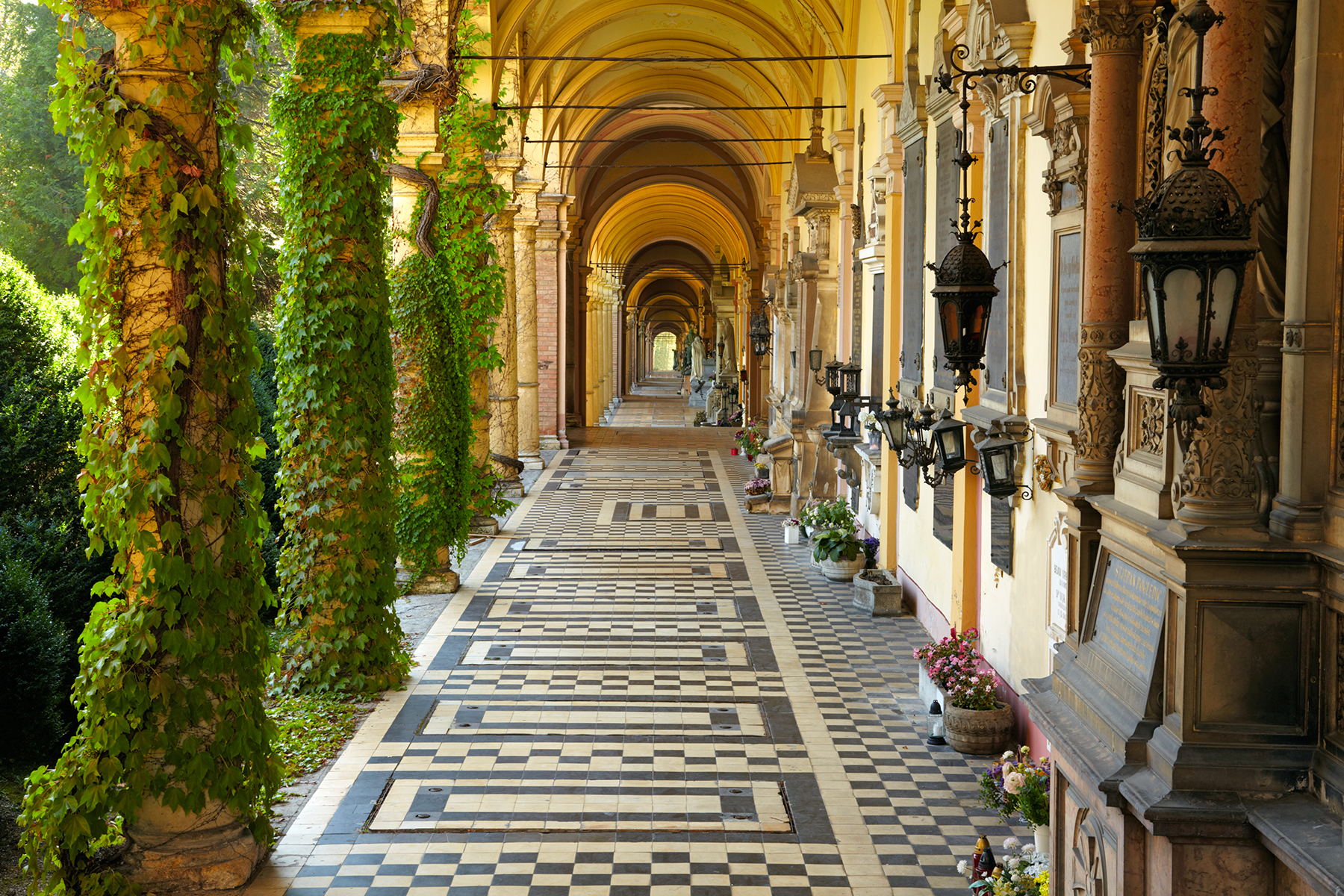 A picturesque colonnade adorned with lush vines, elegant lamps, and a patterned floor, creating a serene walkway lined with greenery.