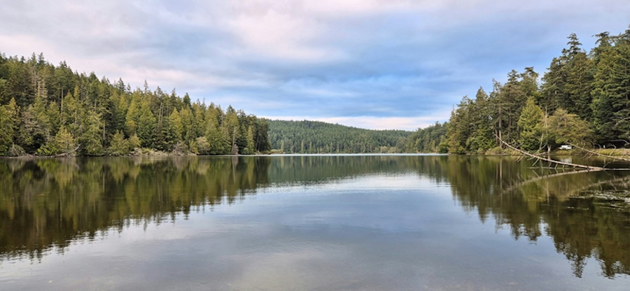 A calm lake reflecting a cloudy sky, surrounded by dense evergreen forest on both sides.