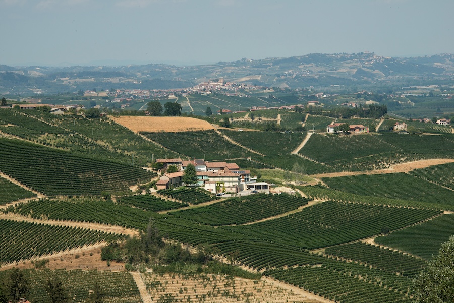 panorama
