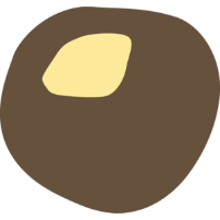 Buckeye Nut