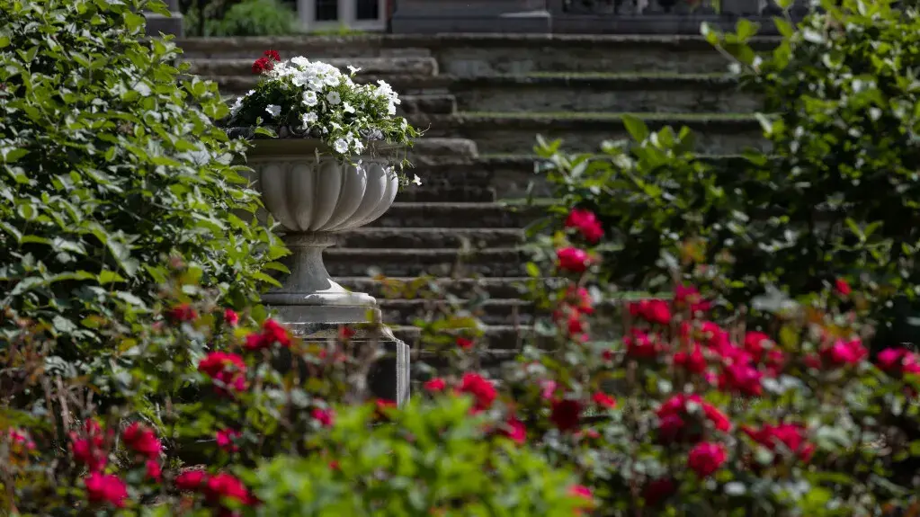 Roses surround Browning Ampitheatre near Mirror Lake