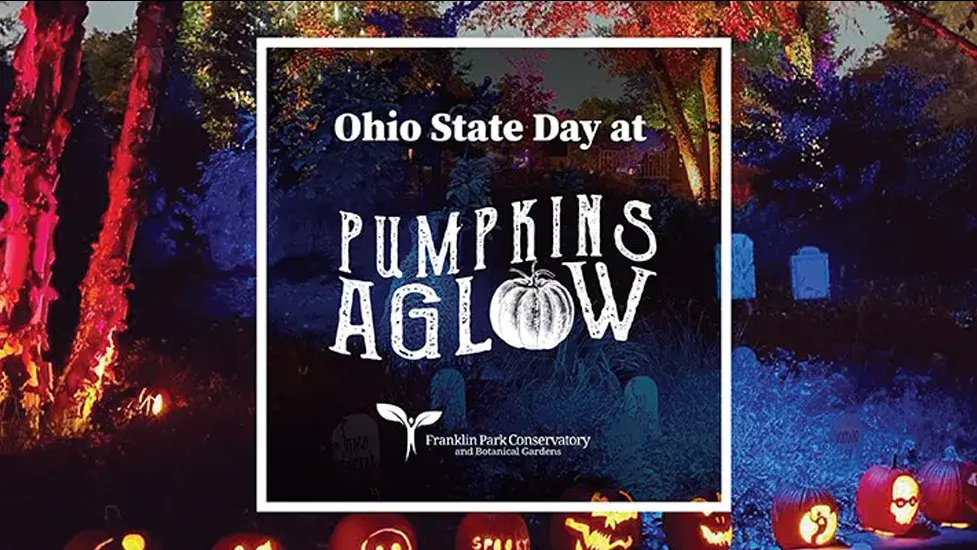 Pumpkins Aglow