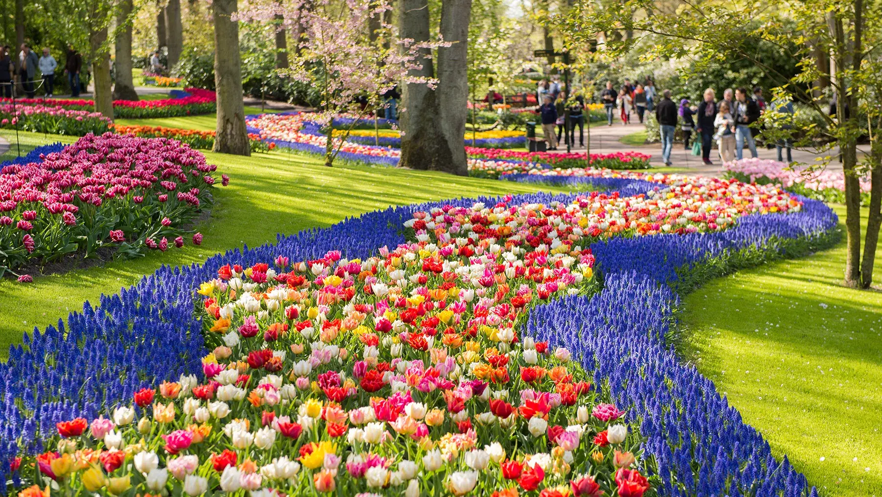 Keukenhof garden in Amsterdam