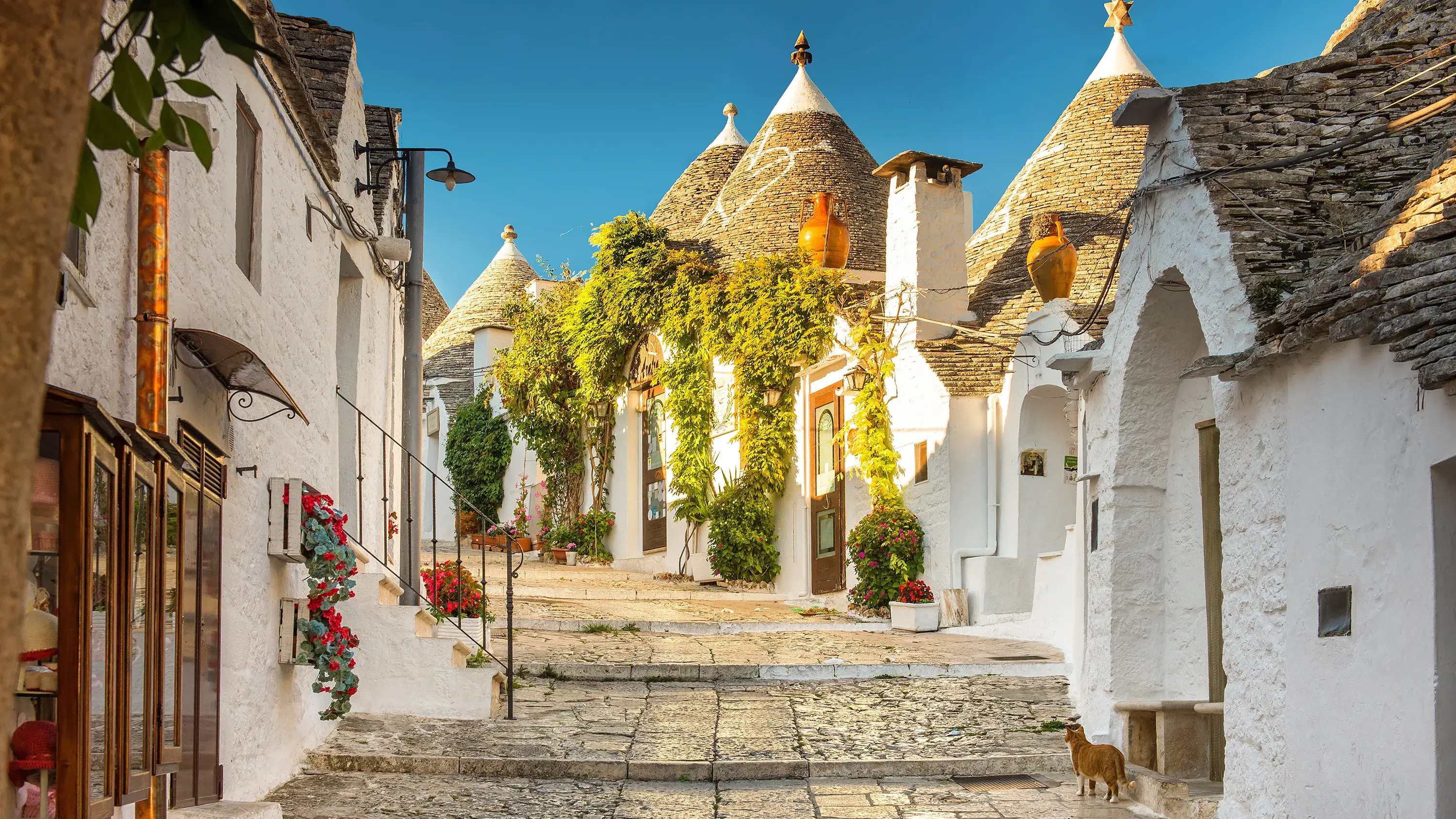 cobble stone street in Alberobello