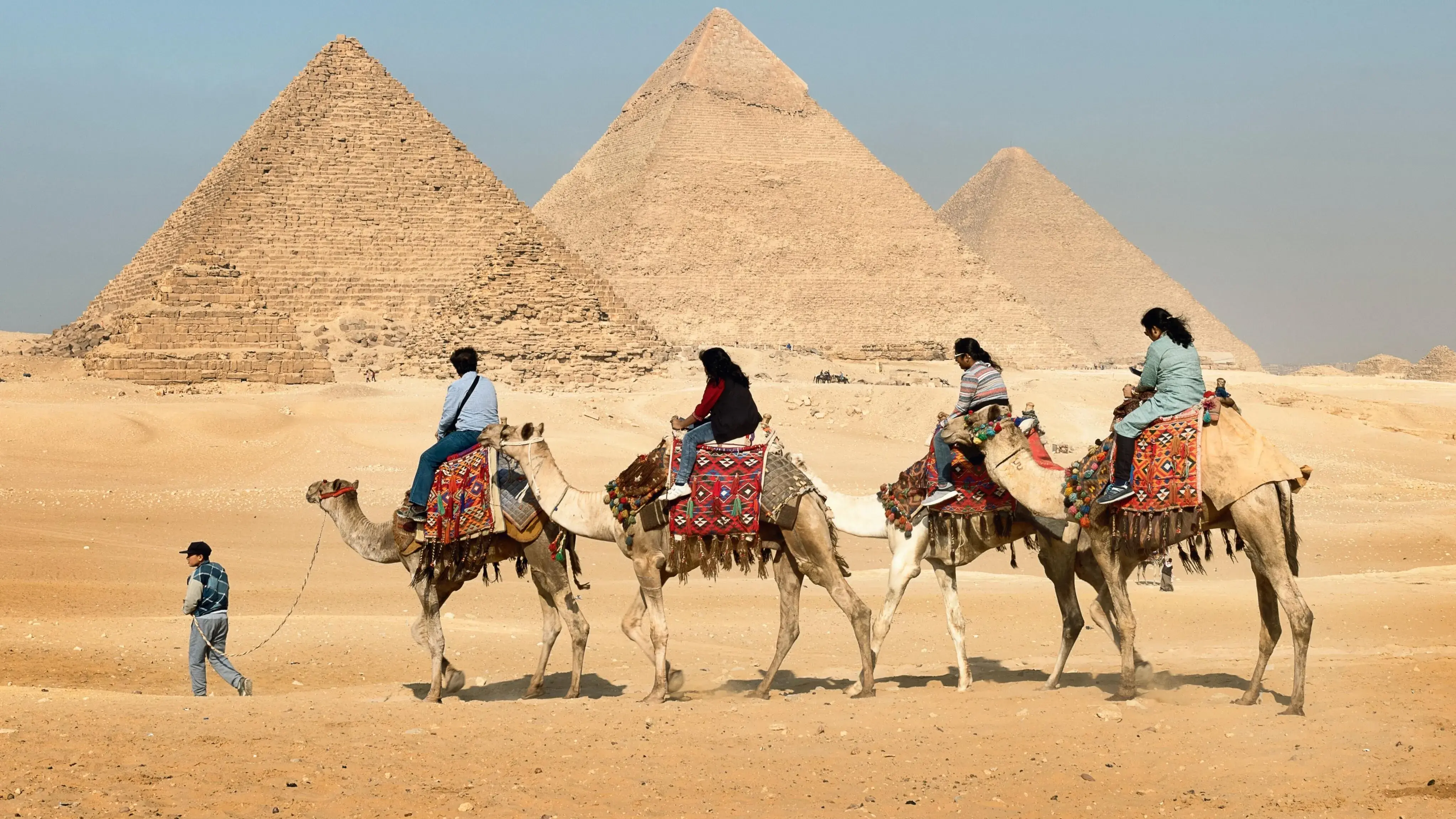 Group camel ride