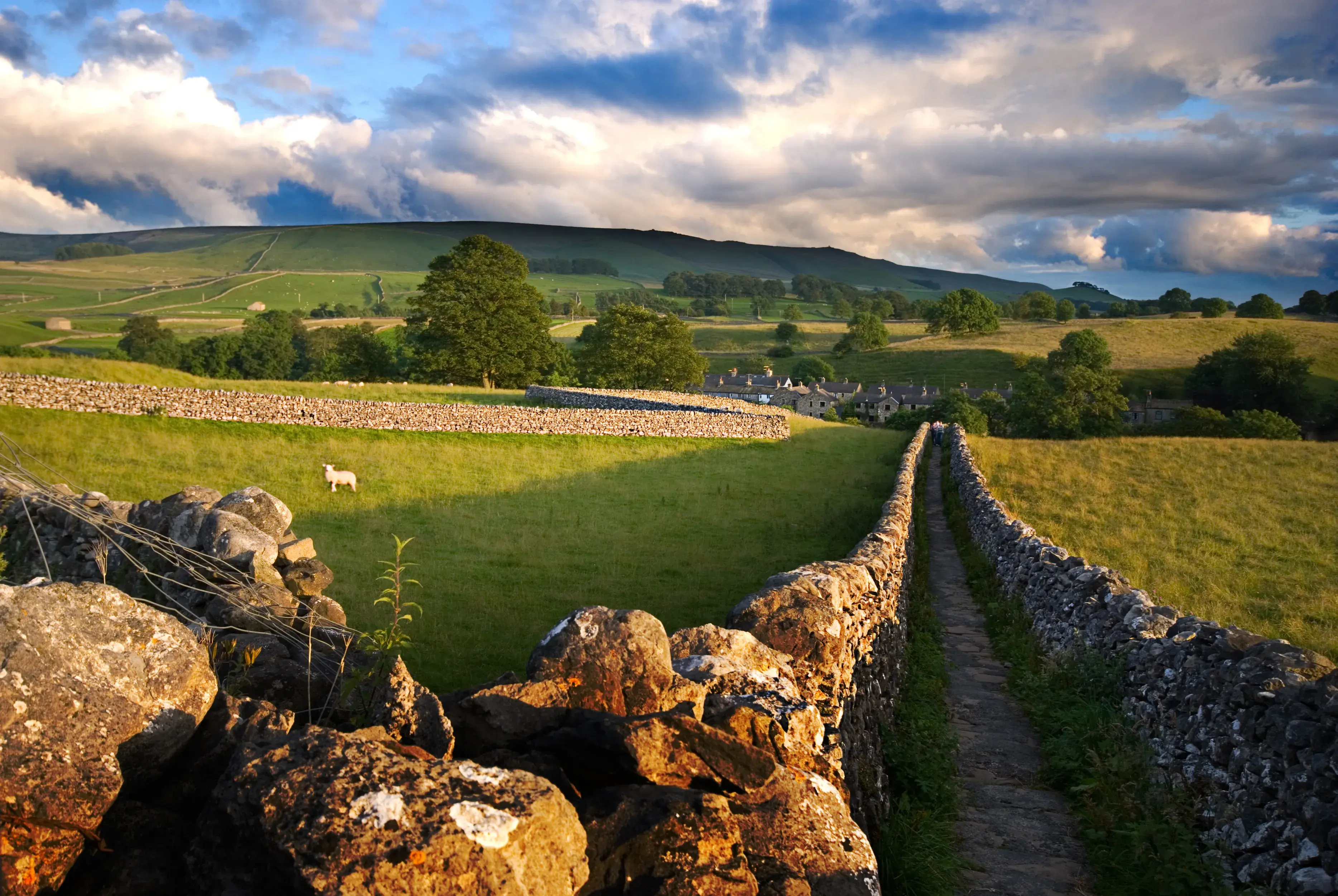 Britain&#039;s lush green rolling hills and pastures