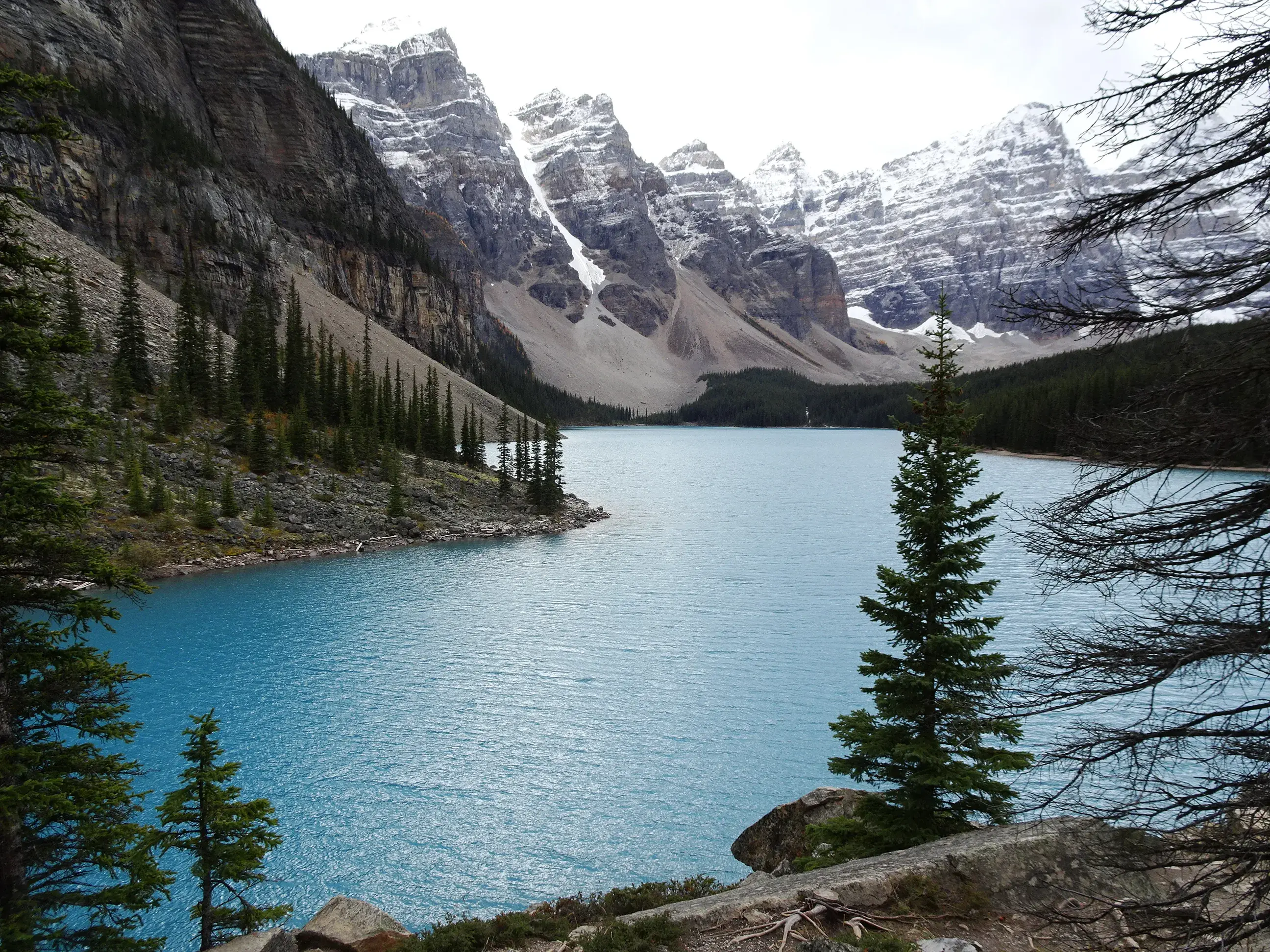 Snow-capped mountains overlooking a lake and pine trees