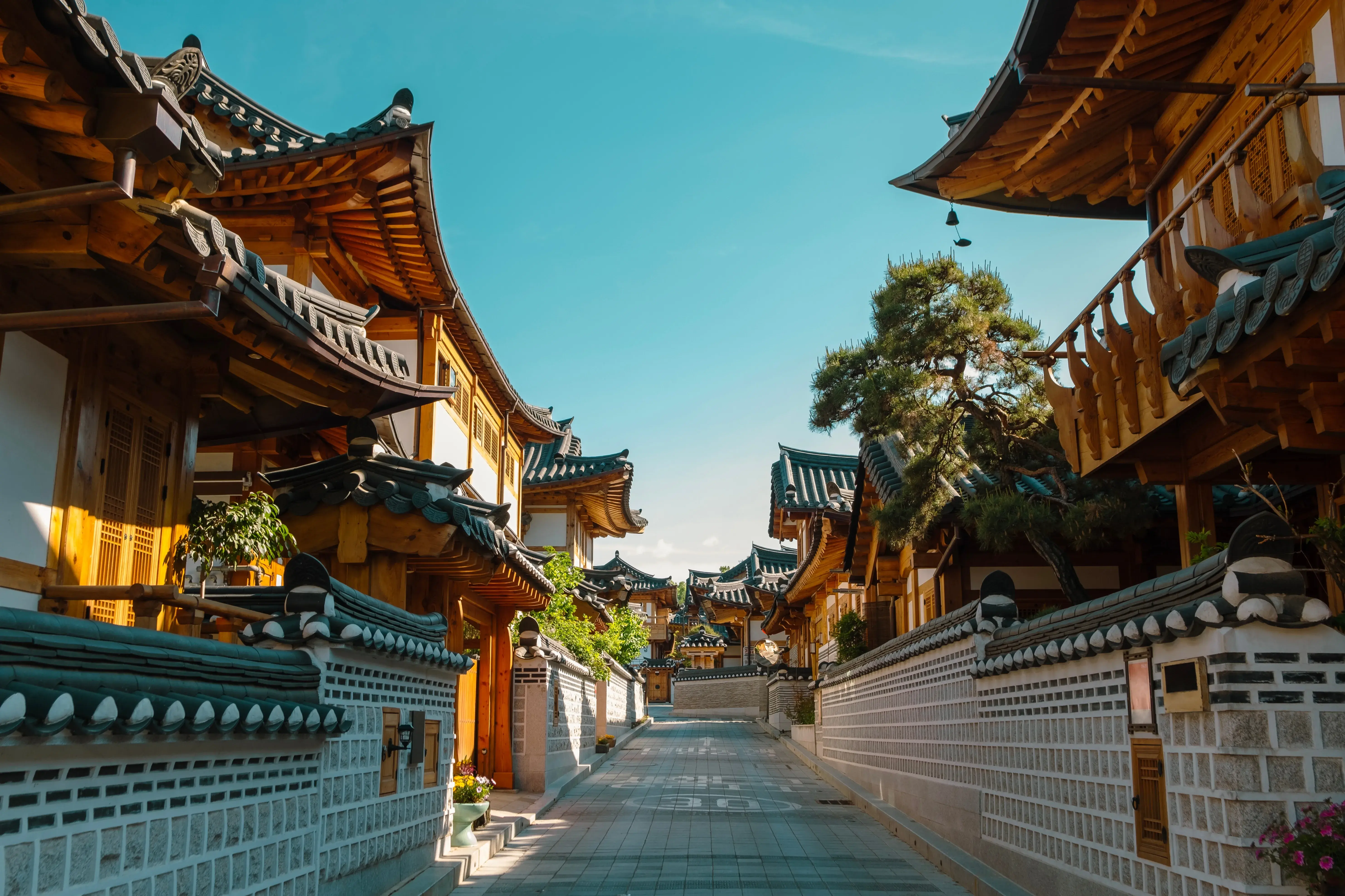 South Korea and Japan