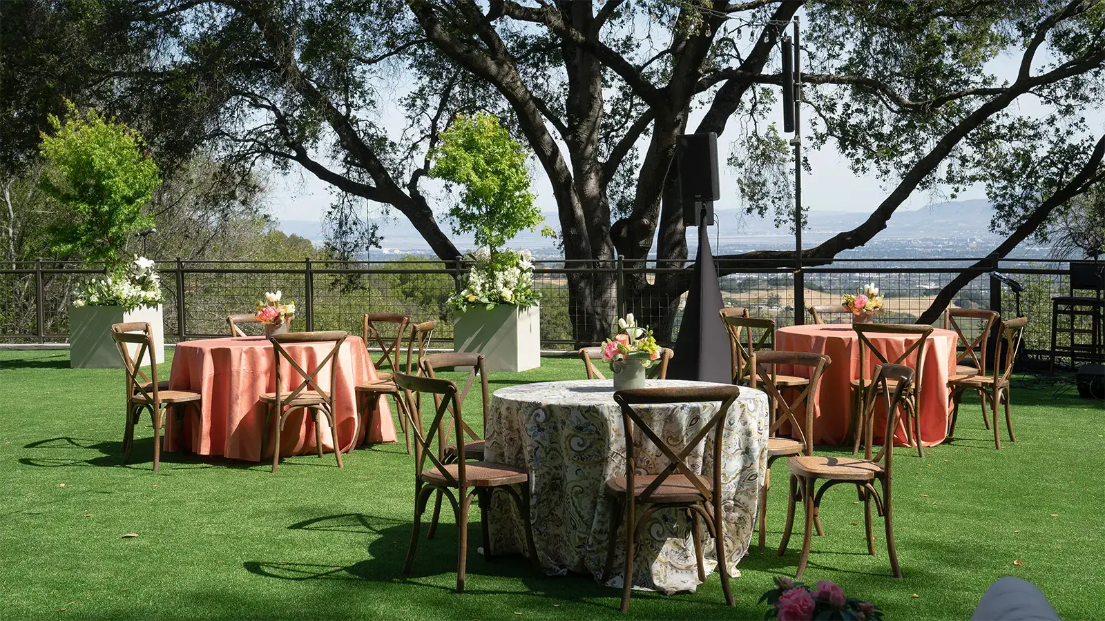tables and chairs set up in a vineyard