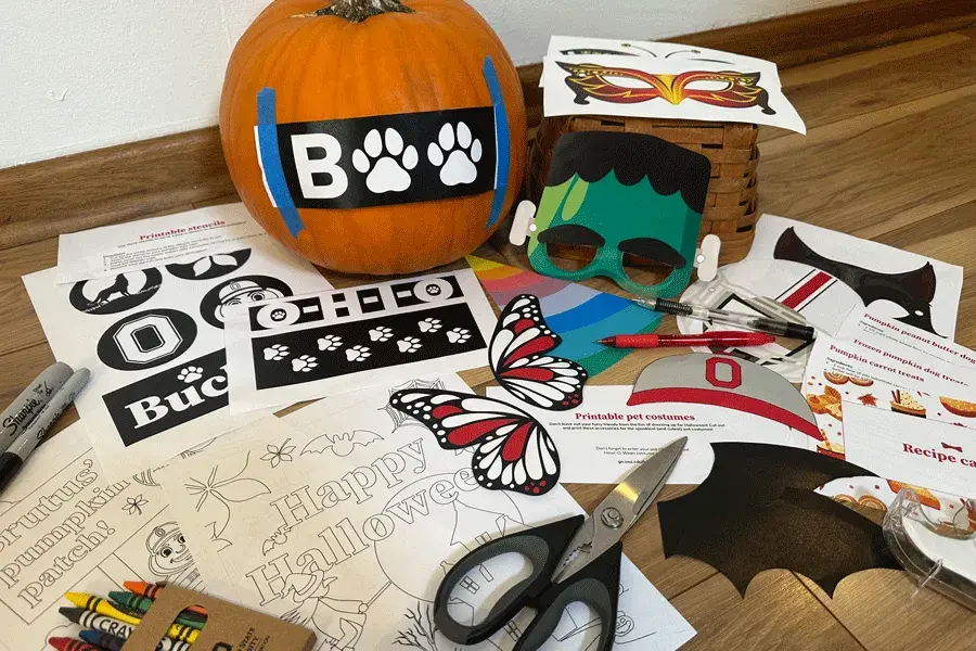 Boo-ckeye Season Digital Downloads Bundle