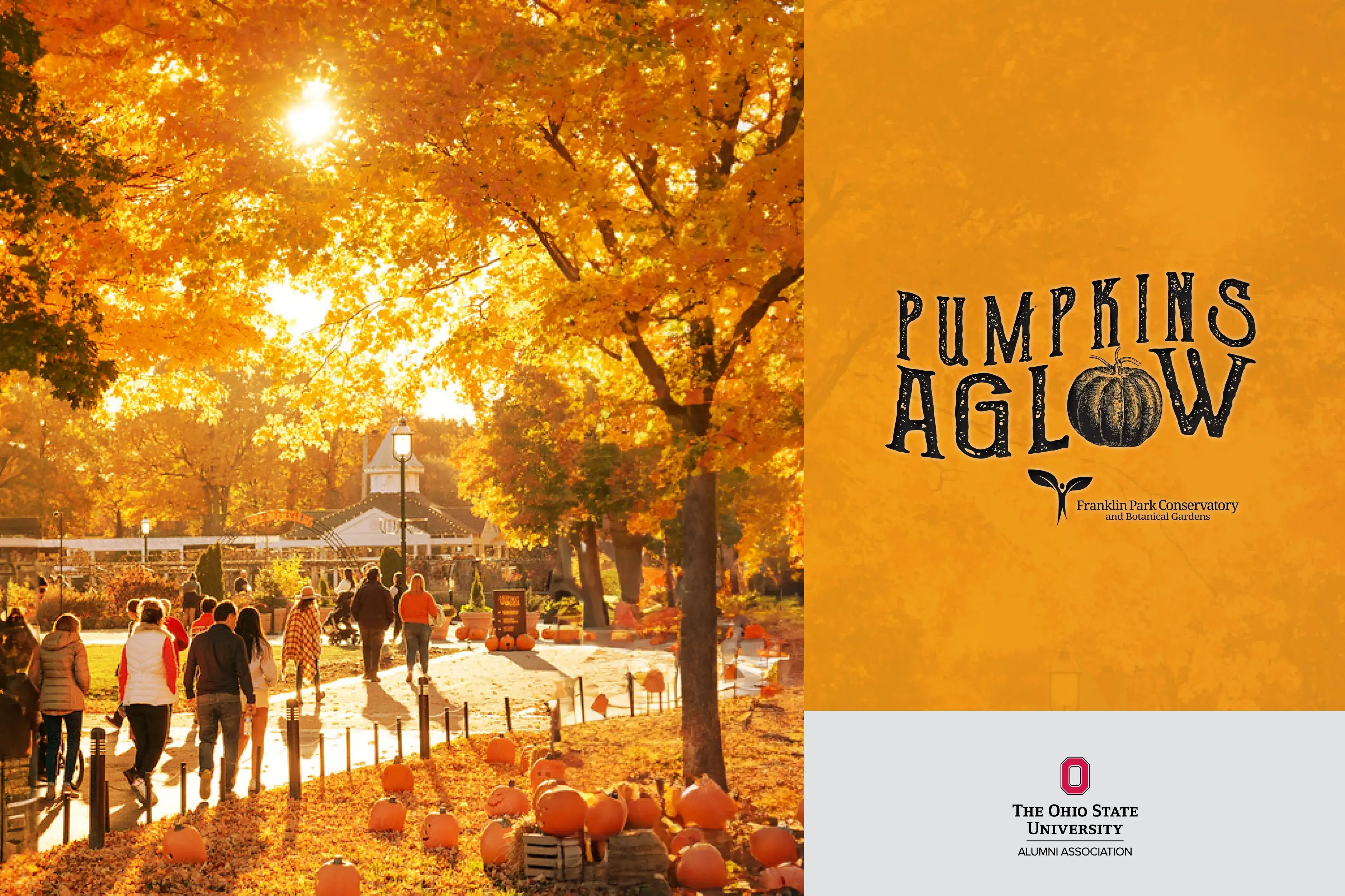 People walking through the Pumpkins Aglow event surrounded by colorful trees and pumpkins on the ground with text reading Pumpkins Aglow