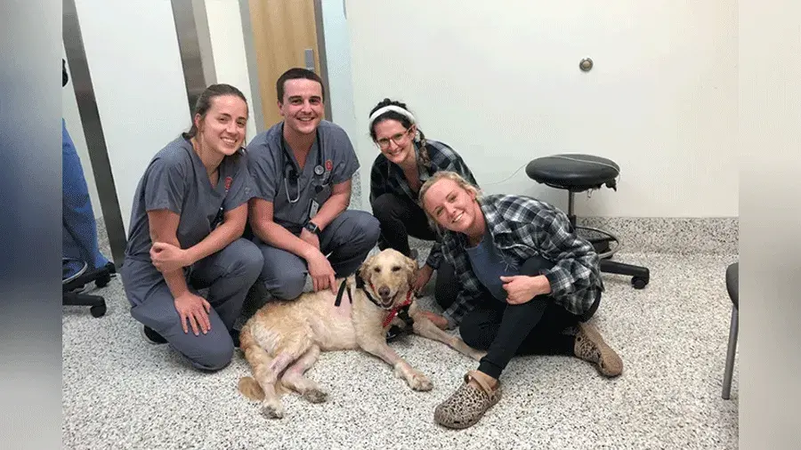 vet med students with a dog