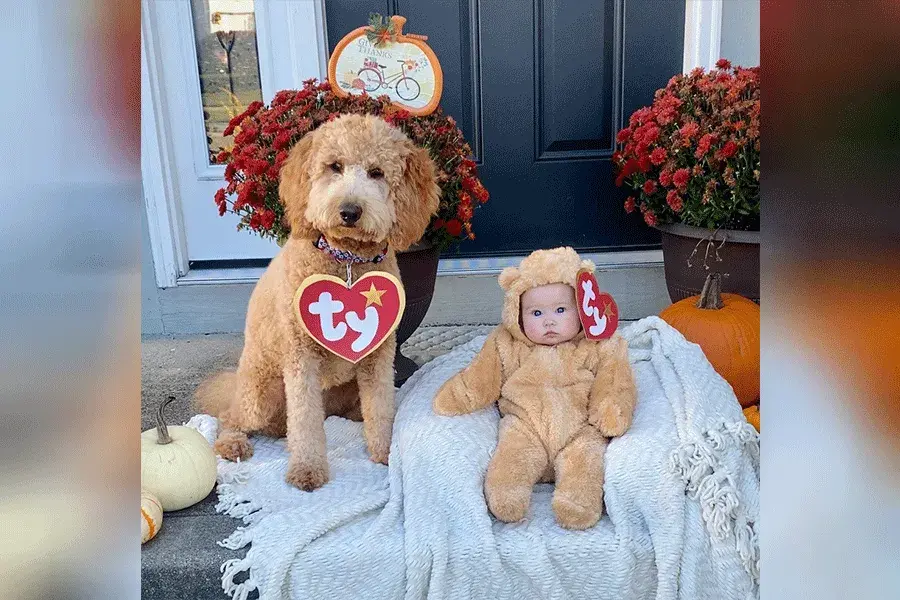 a dog and a baby dressed up as beanie babies