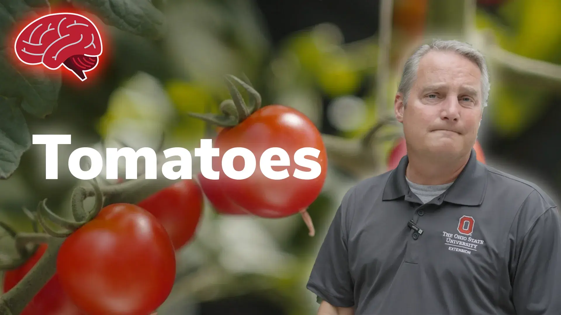 Timothy McDermott, DVM with text readinf Tomatoes