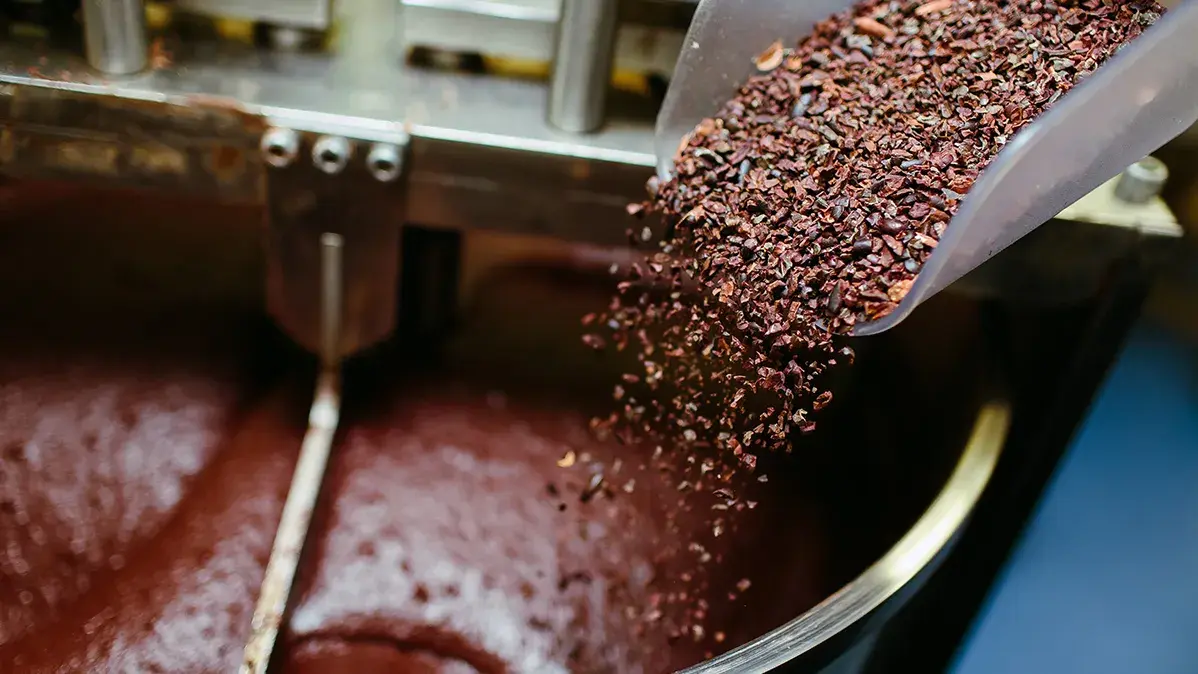 Artisan chocolate making, adding cocoa grits in the Melanger Stone Grinder