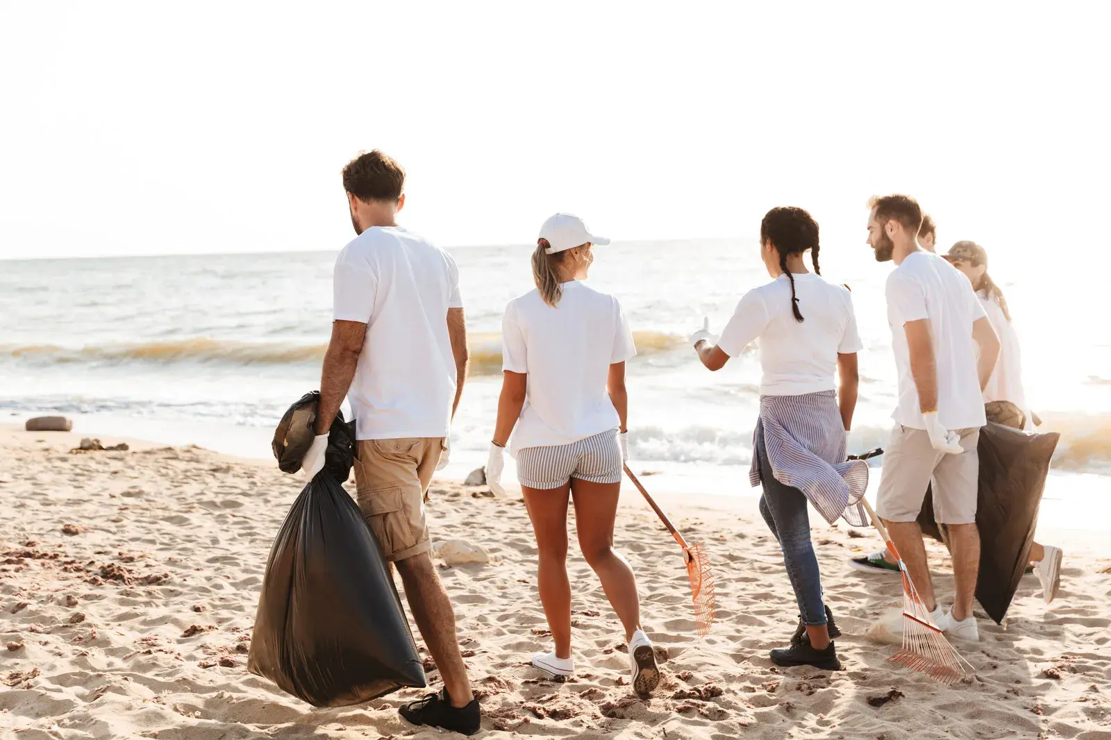 people cleaning on the beach