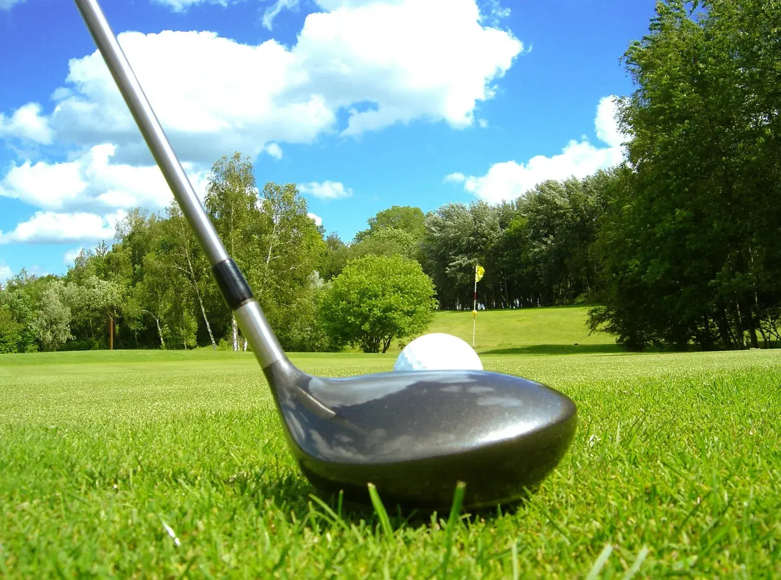 game of golf with a background green trees, blue skies and white clouds