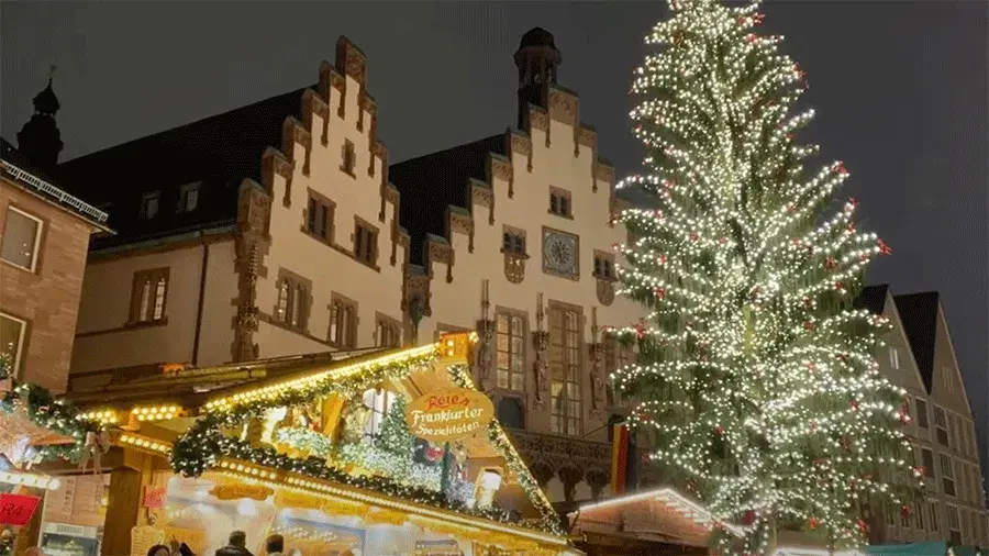 A large pine tree decorated with white lights next to a market