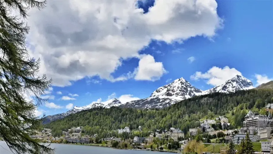 Snow-capped mountains overlooking a lake and pine trees