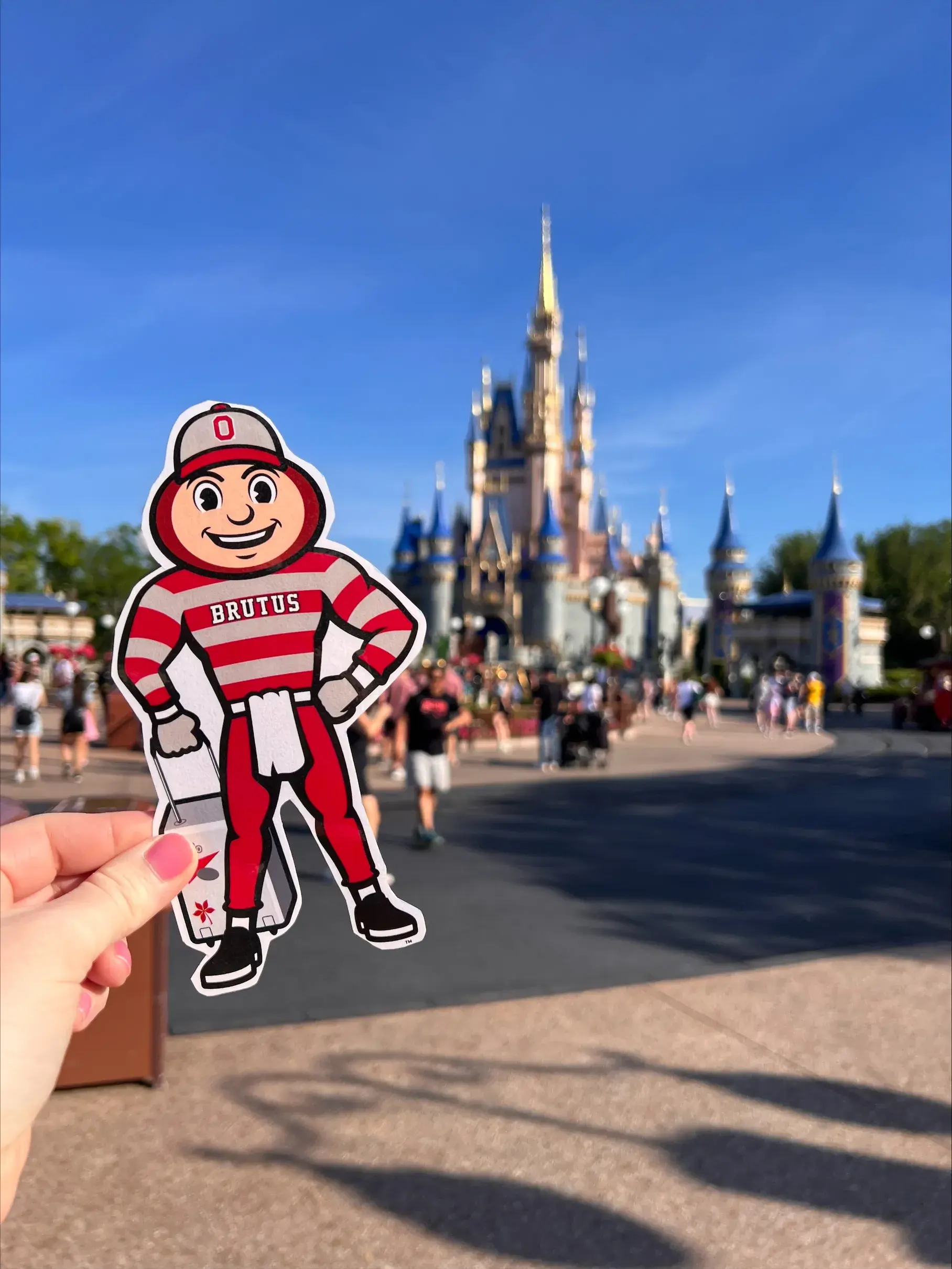 cut out of Brutus Buckeye in Disney World