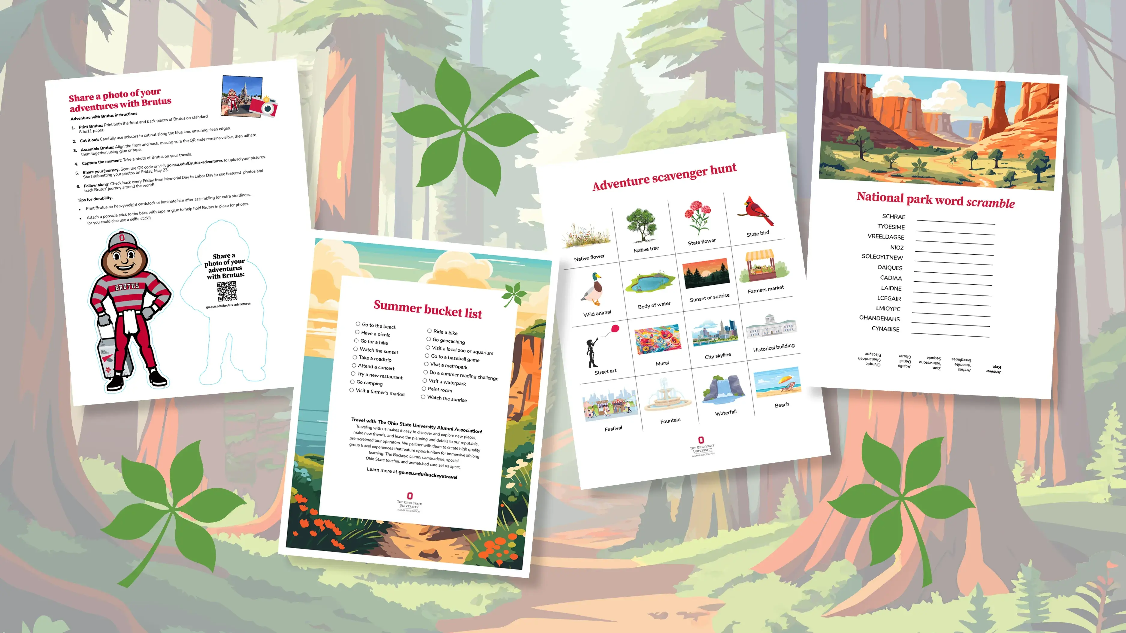 Buckeye Adventures bundle