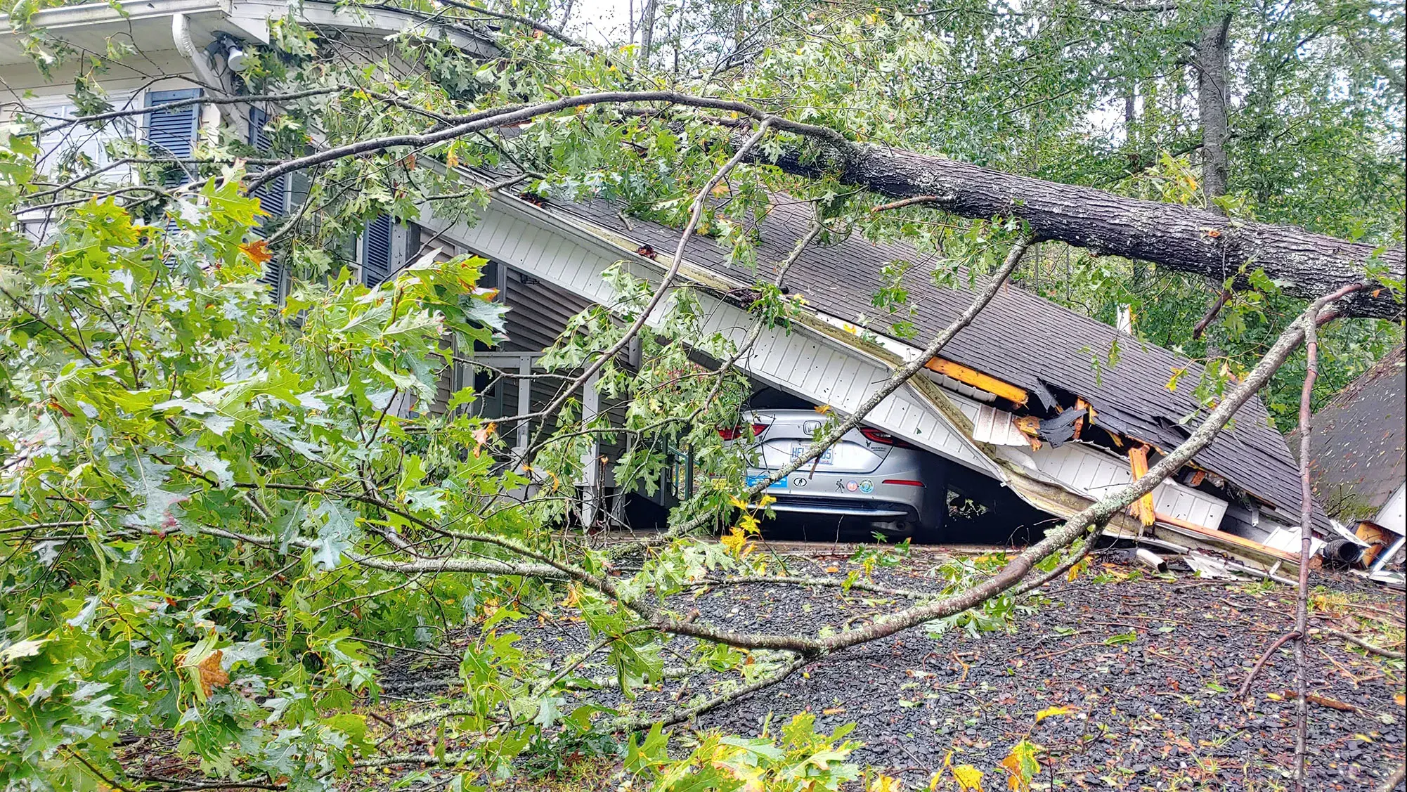 trees and debris caused by stormed damage on top of a car