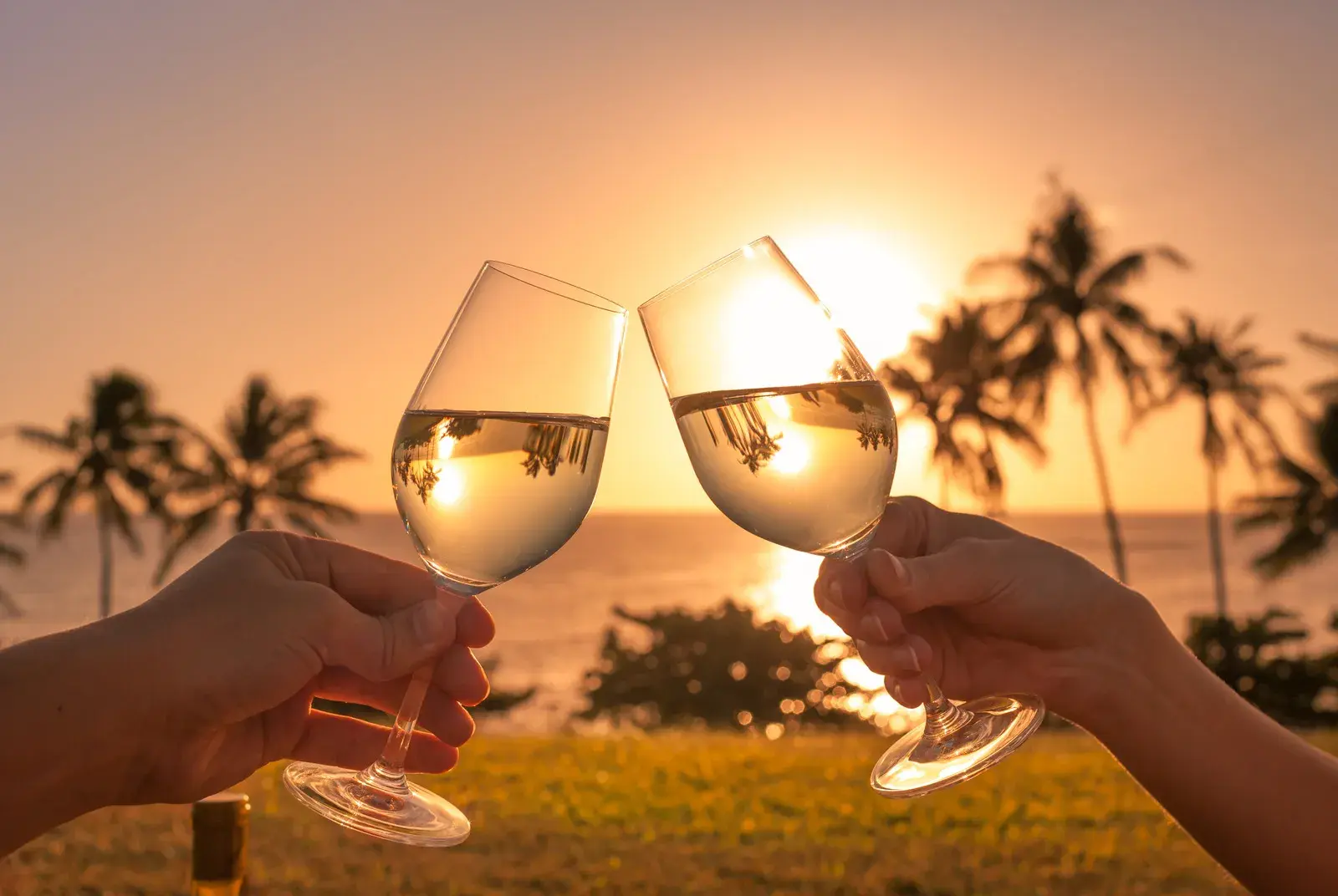 two hands toasting with champagne glasses, with palm trees and a sunset in the background