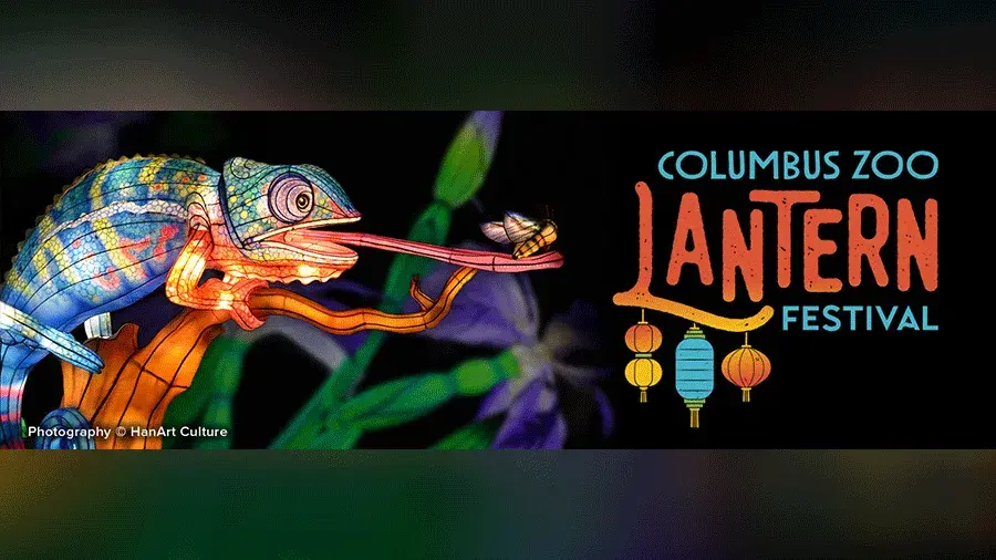 chameleon eating a bug with text reading Columbus Zoo Lantern Festival