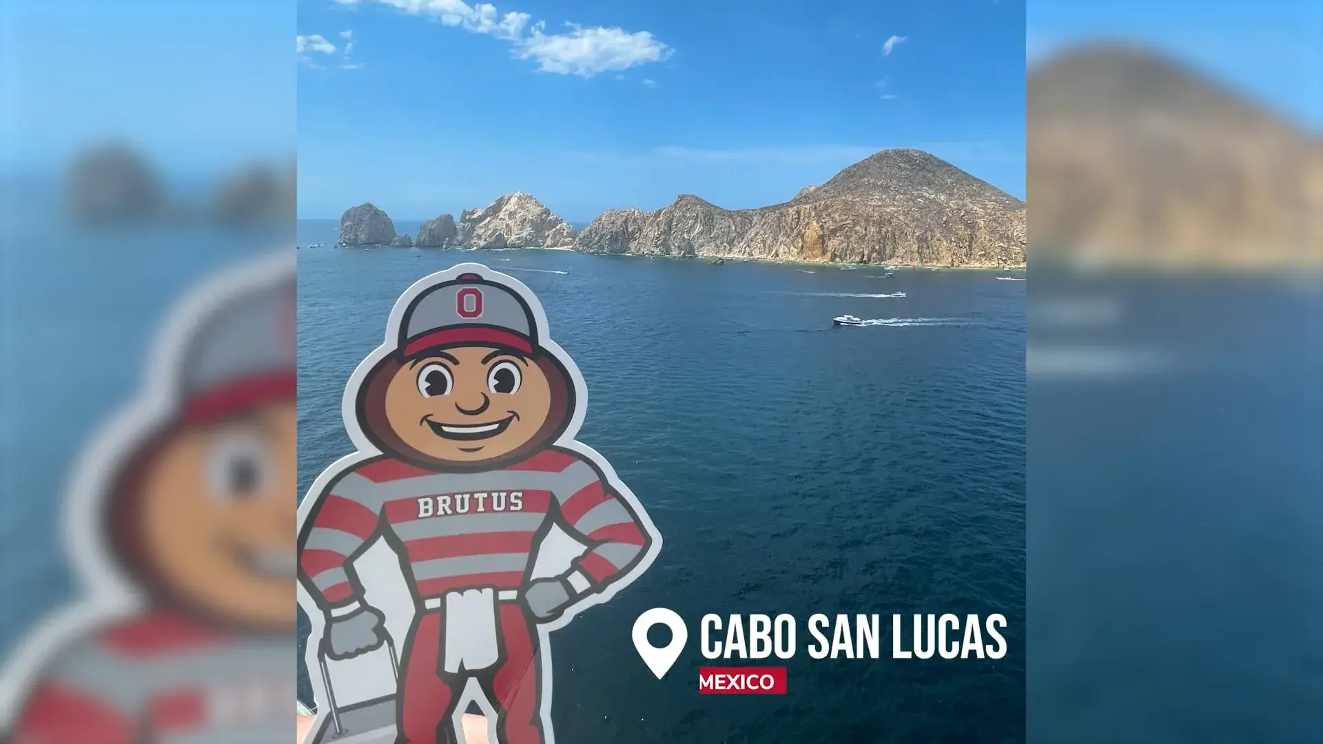Brutus with the ocean and island behind him in Cabo San Lucas