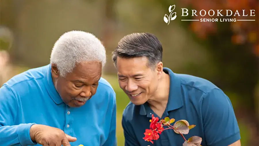 Two people outdoors looking at a plant with red flowers, with the Brookdale Senior Living logo in the upper right corner.