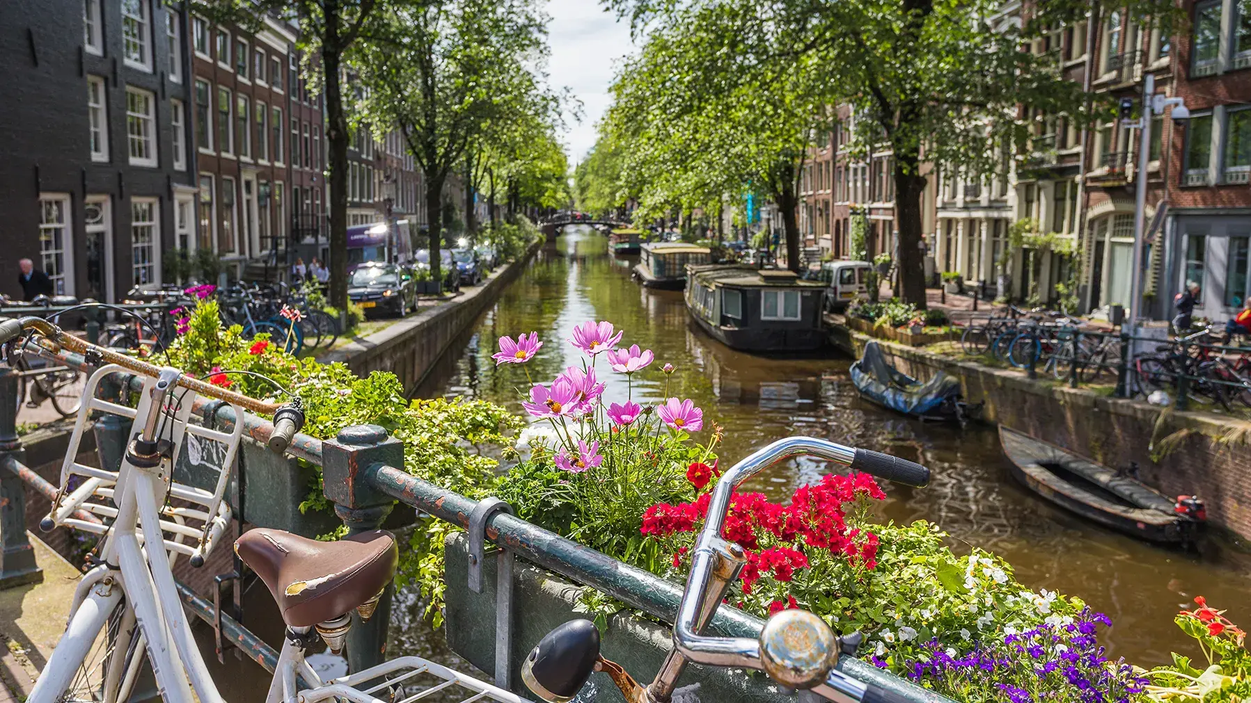 A canal lined with trees and buildings, with bicycles and colorful flowers on a bridge in the foreground.