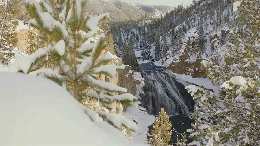 Snowy forest and mountain side terrain.