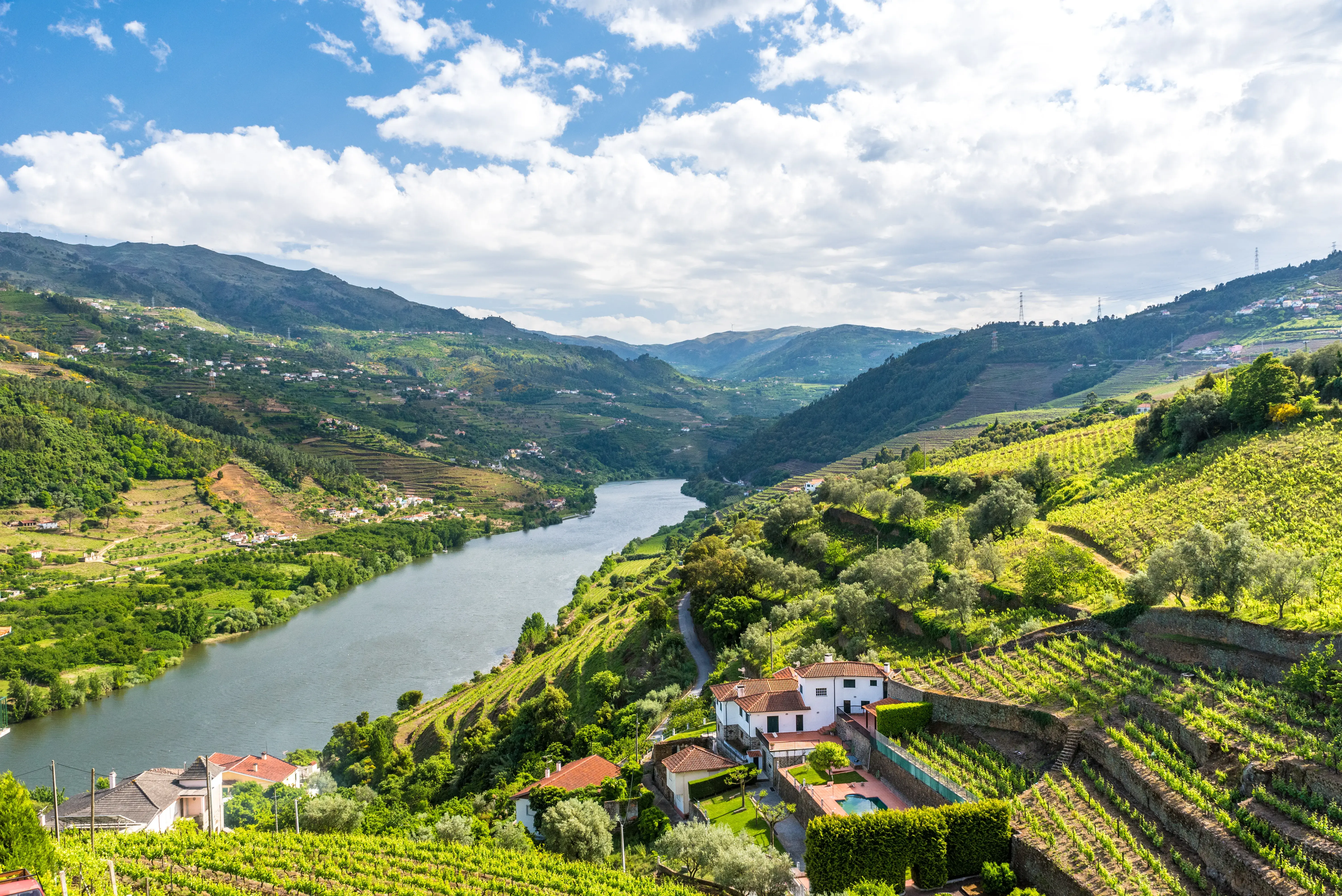 A winding river flows through green hills covered in terraced vineyards, with a few houses along the riverbank under a partly cloudy sky.