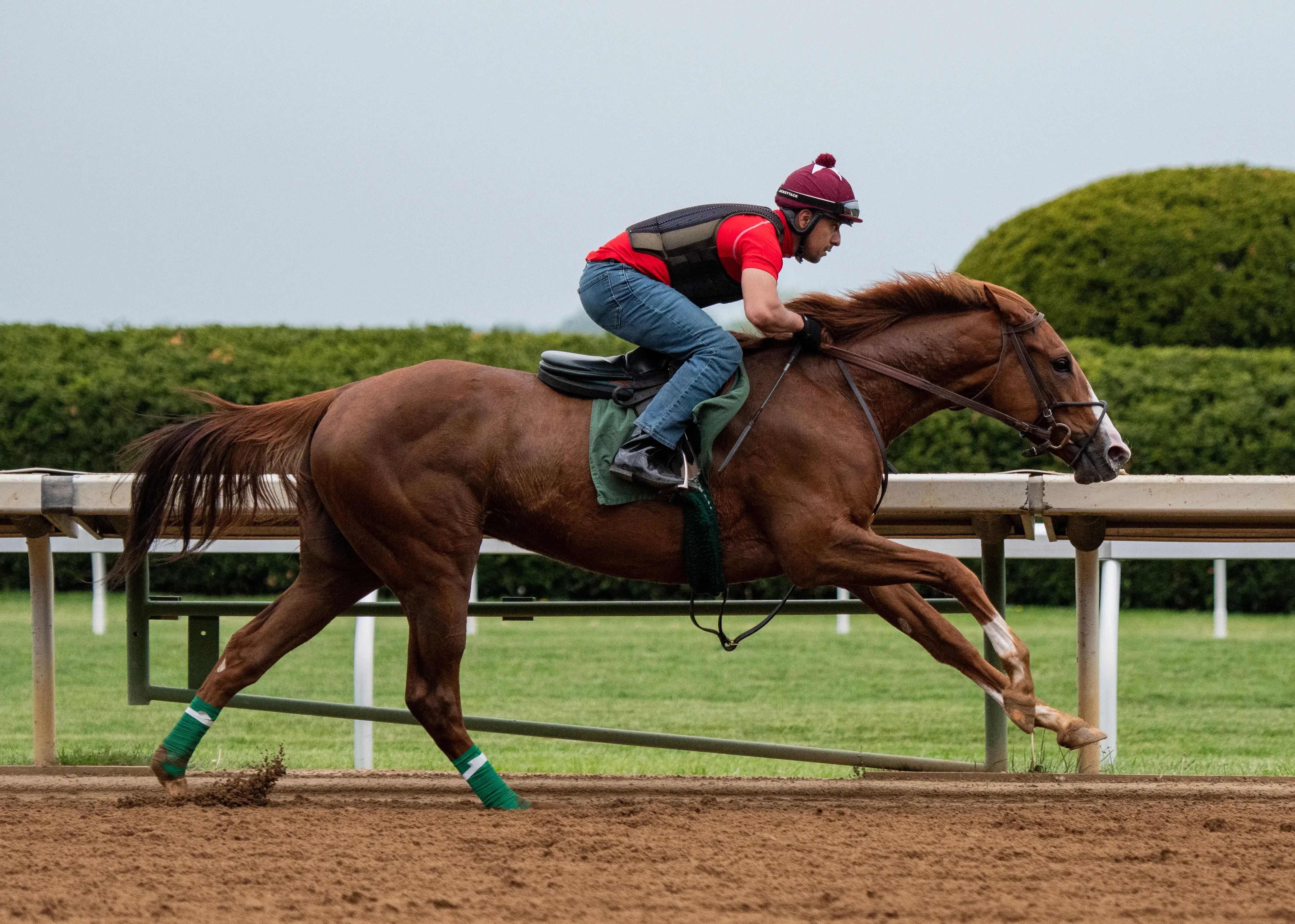 Bay mare and foal running side by side in a grassy paddock with a wooden fence.