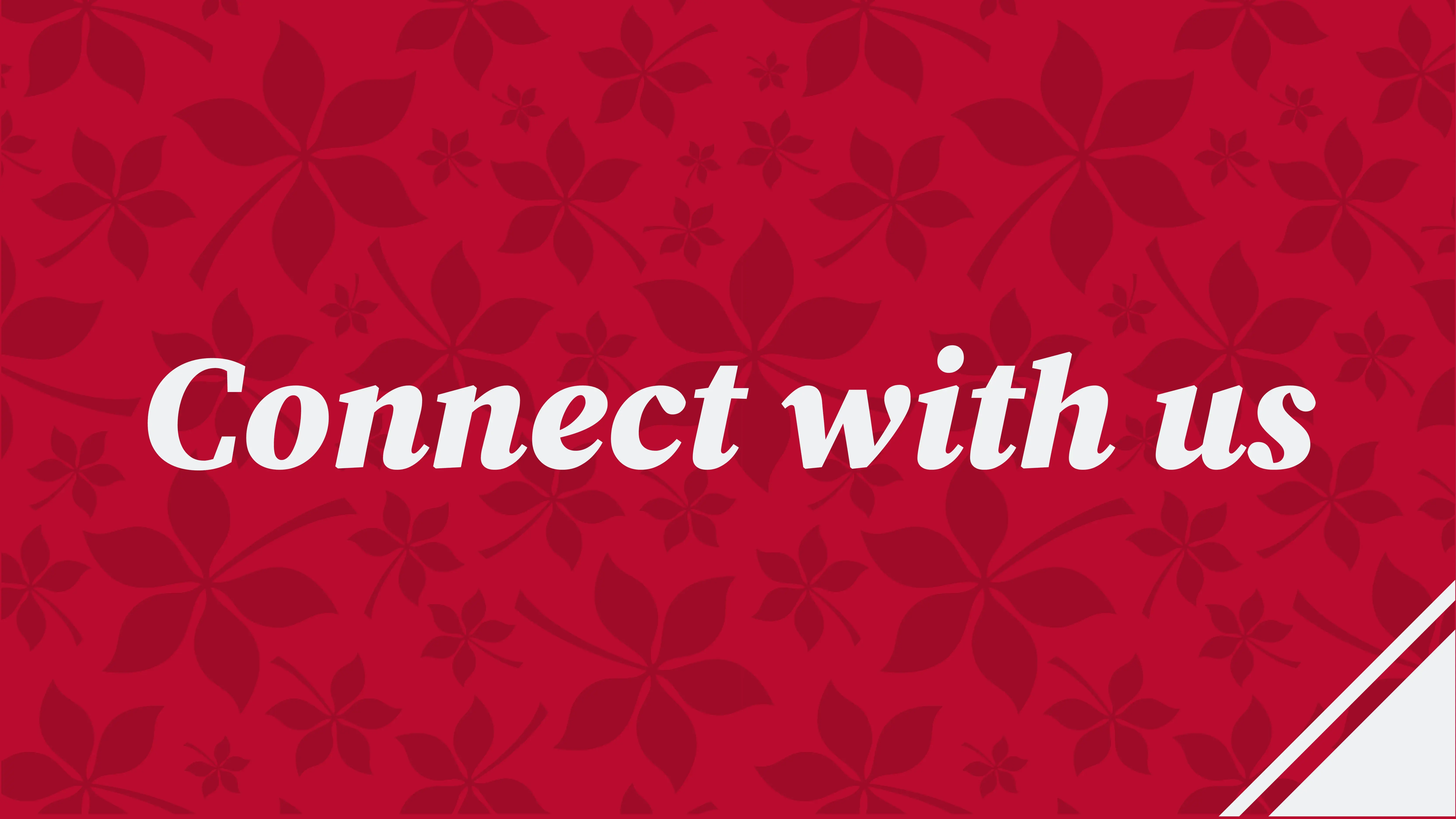 connect with us verbiage with red background