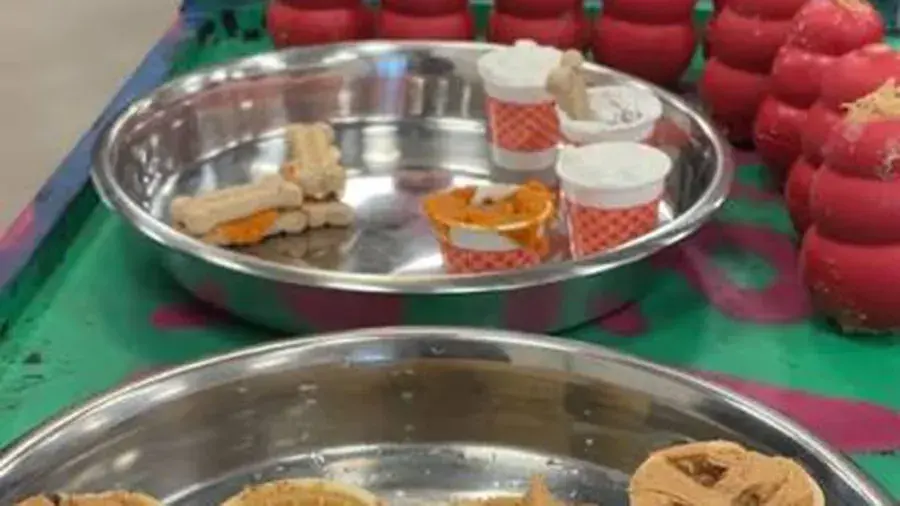 Metal trays filled with dog treats and small paper cups of snacks sit on a colorful surface, with red rubber toys stacked in the background.