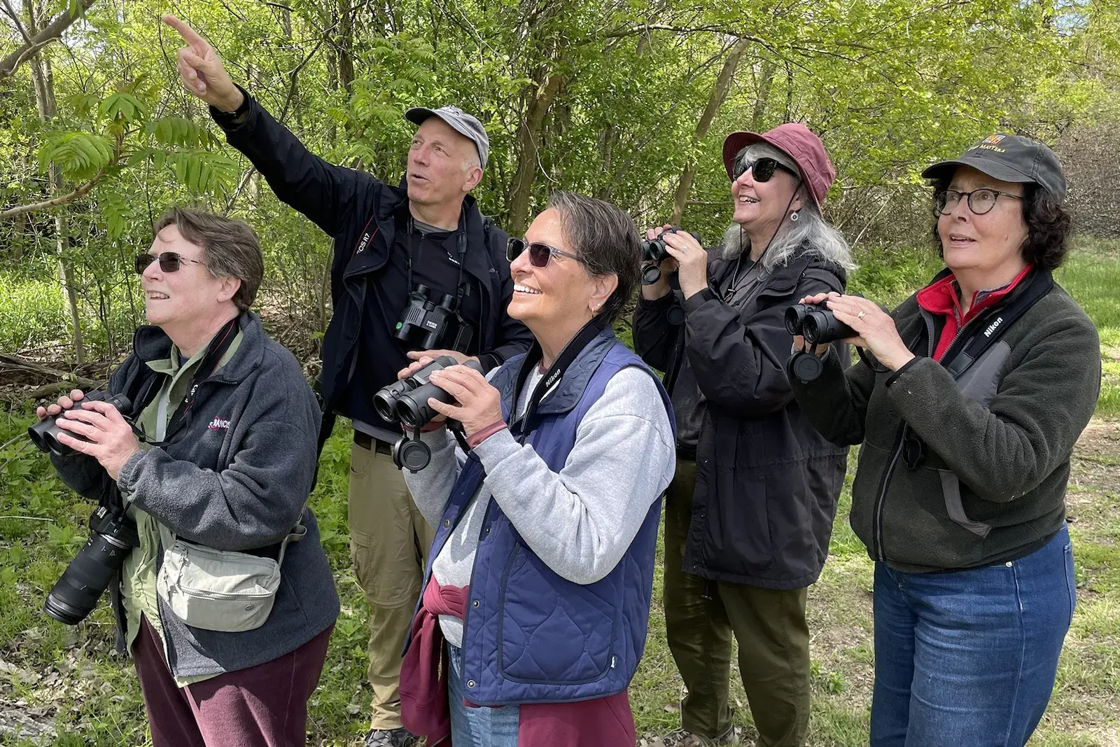 Group of people bird watching in a forest with binoculars