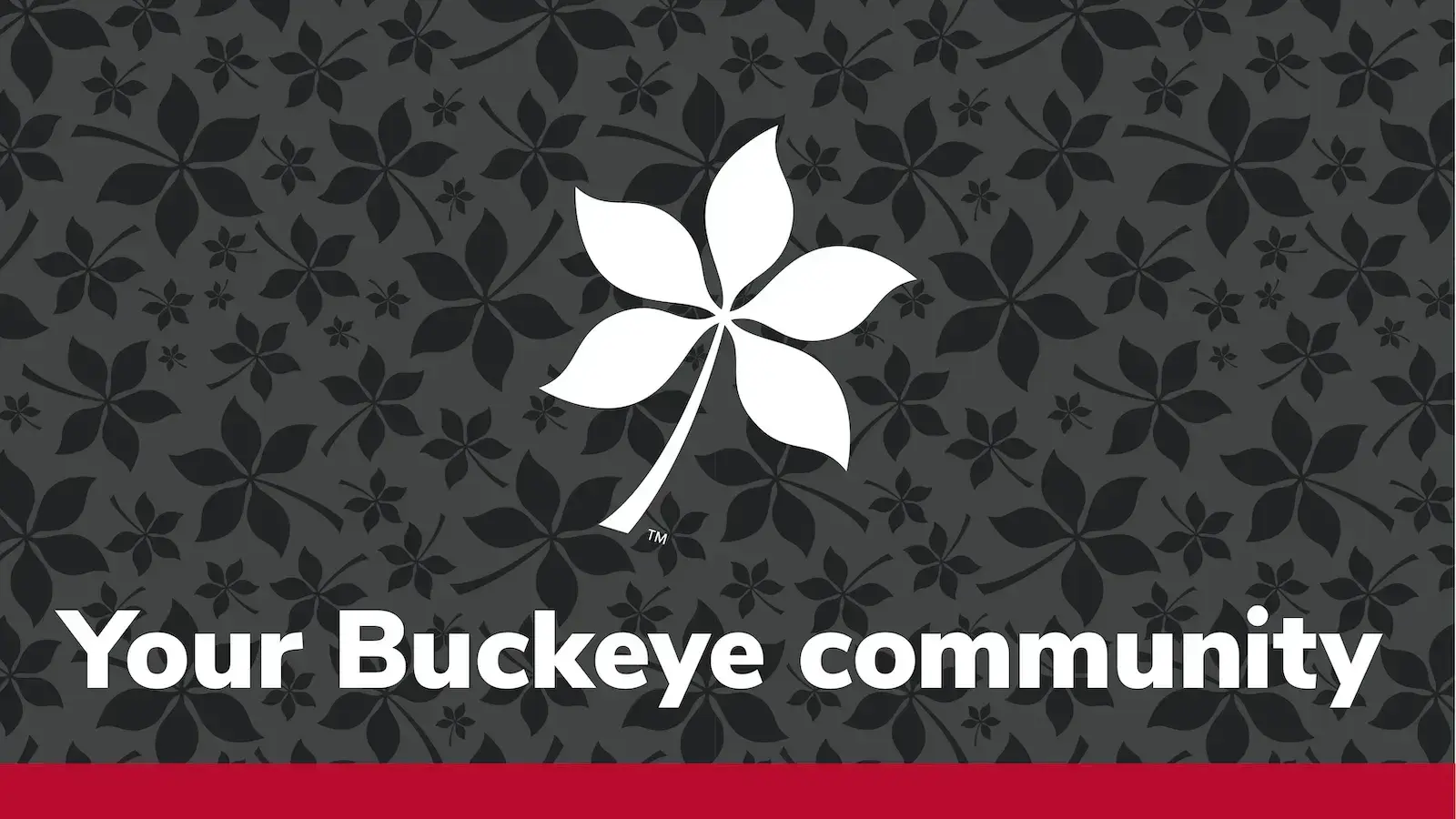 Your Buckeye community.