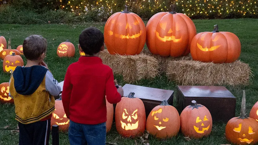 Two children view illuminated jack-o’-lanterns on hay bales.