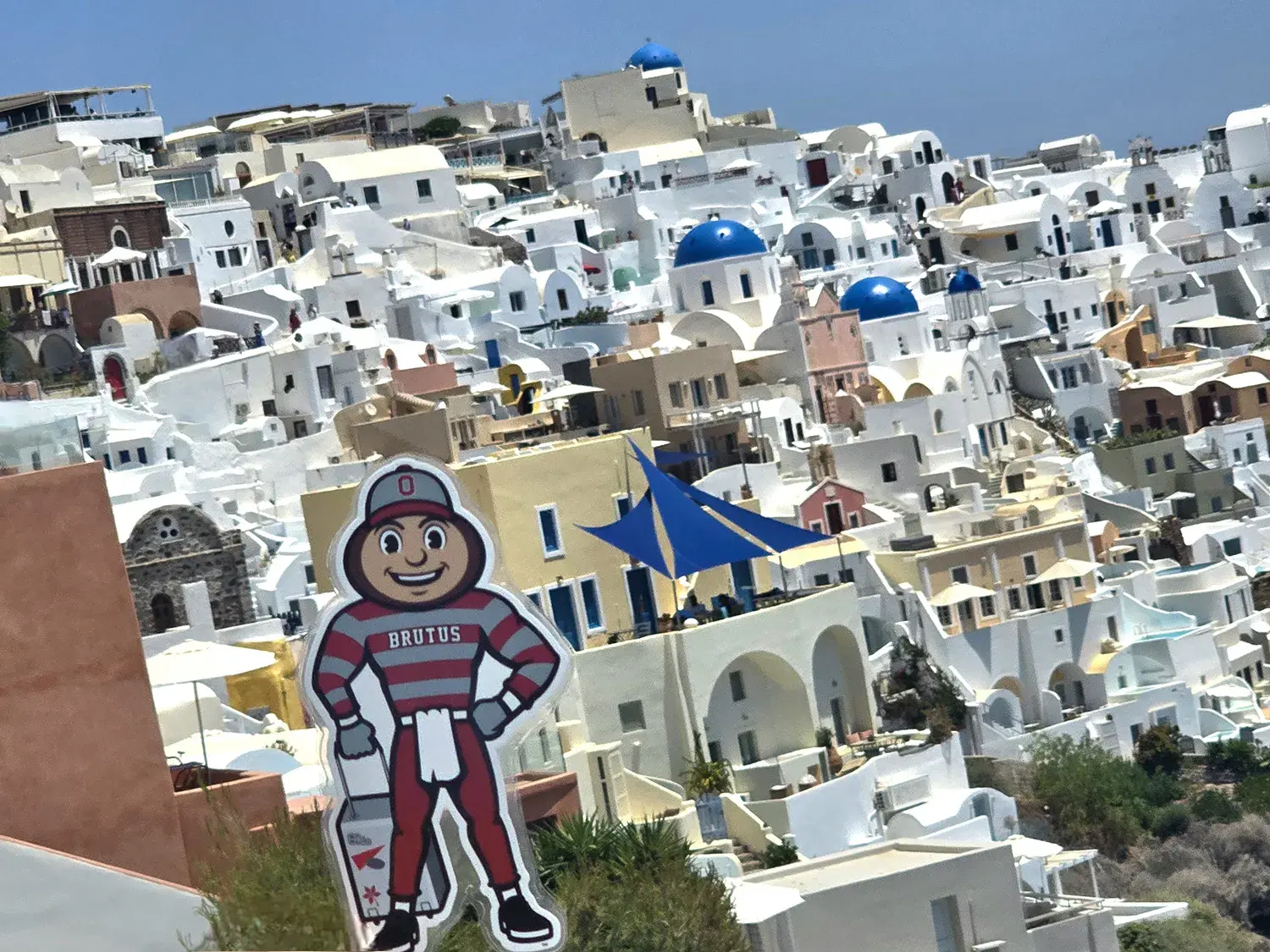 Brutus in front of the iconic, white-washed houses in Oia, Santorini, Greece.