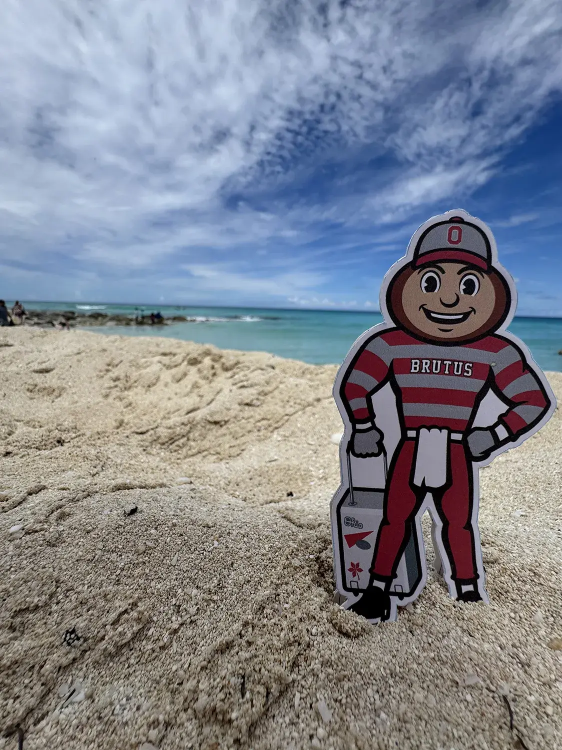 Brutus in Bimini, Bahamas standing in white sand with blue water, blue skies, and white clouds in background. 