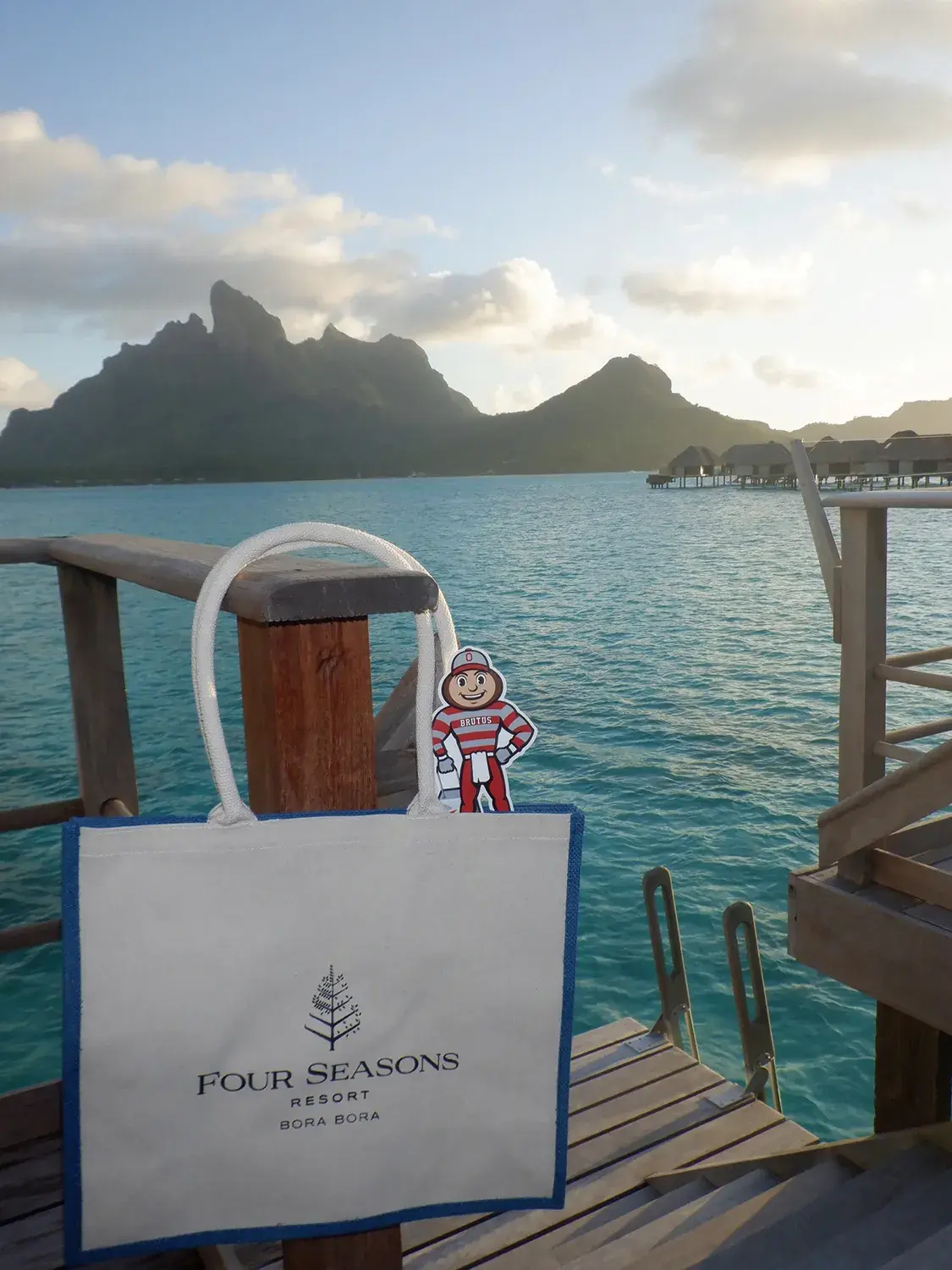 Brutus inside a Four Seasons Resort Bora Bora bag with blue ocean water, cabanas, and a mountain in the background in French Polynesia.