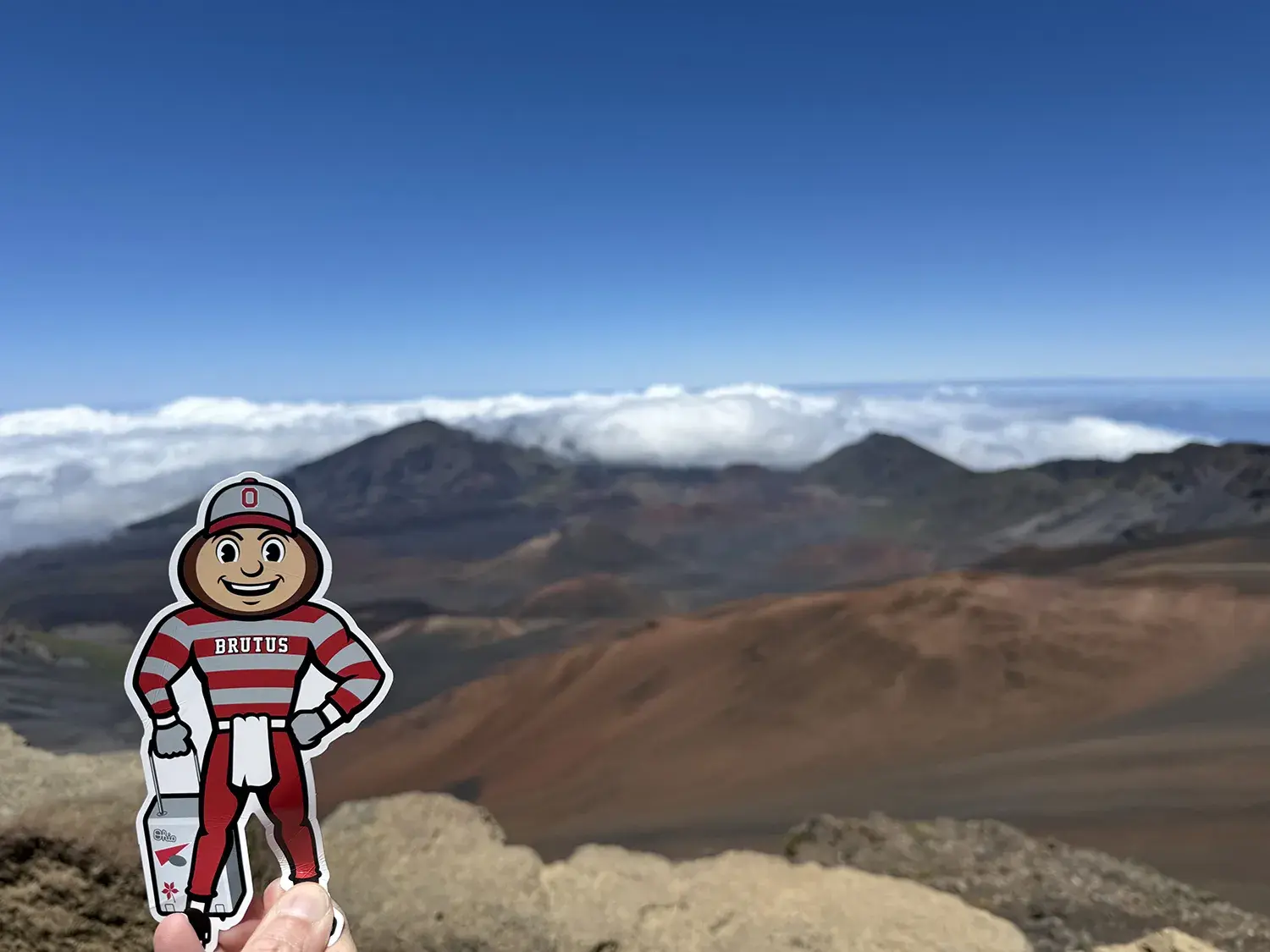 Brutus in front of rolling mountains, white clouds, and blue sky in Haleakalā National Park, Hawaii.
