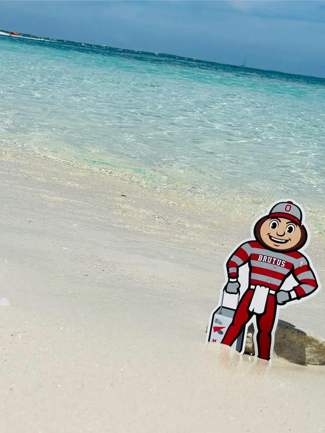 Brutus standing on white sand with a crystal-clear blue ocean and bright blue skies in the background, in Providenciales, British West Indies.