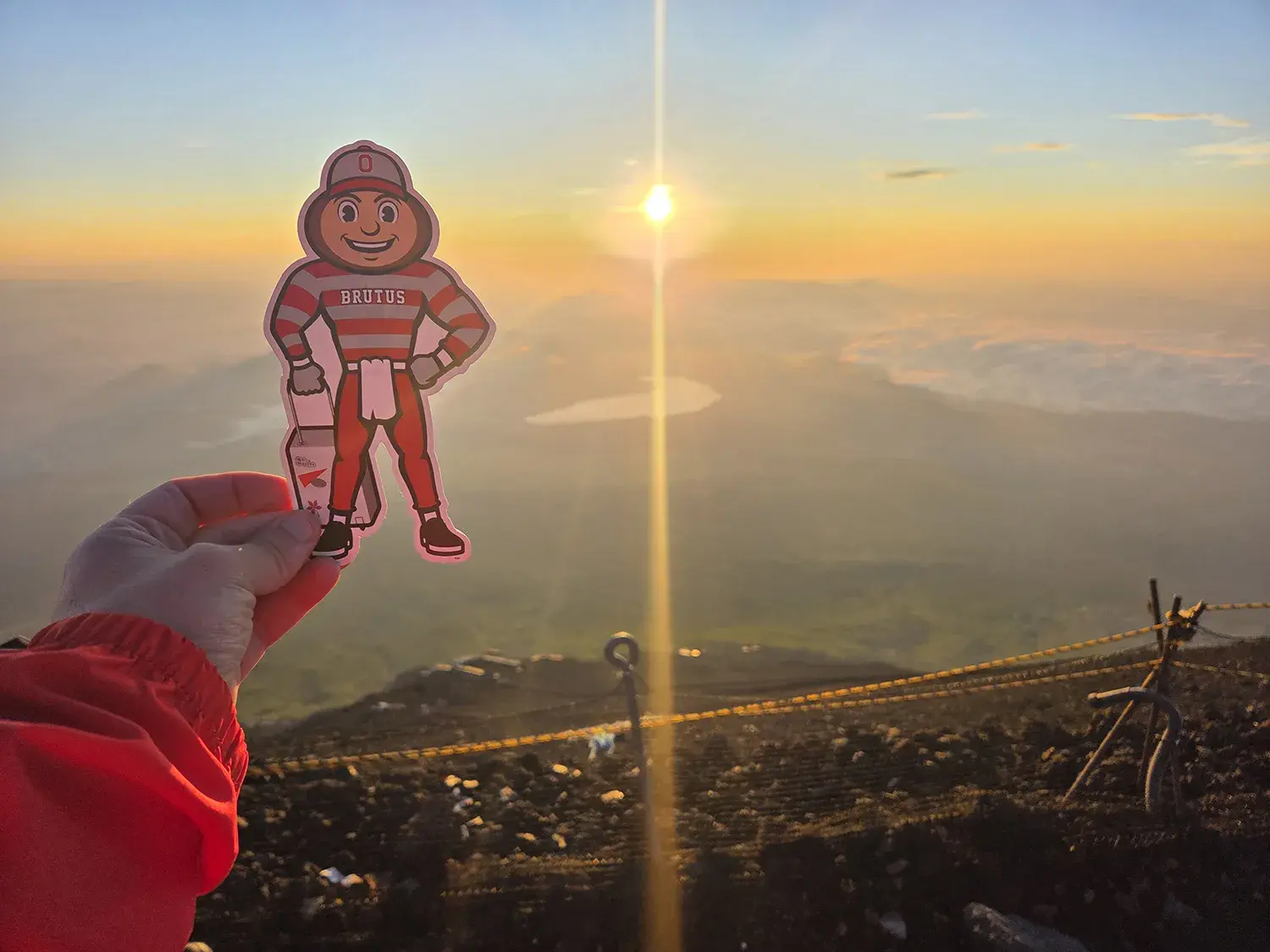 Brutus with a sunrise view of Mount Fuji in the background, in Japan.