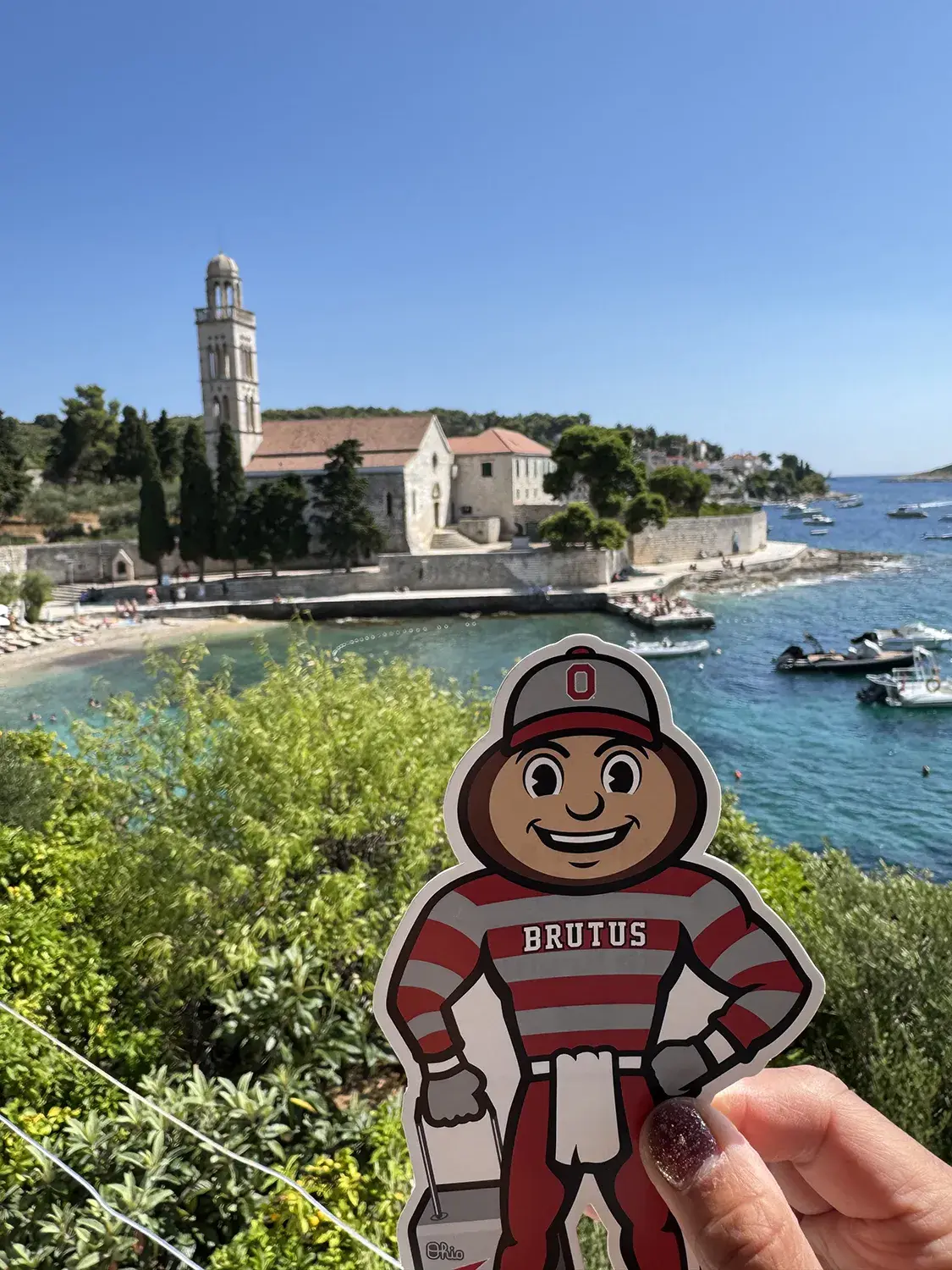 Brutus overlooking a bay with blue water and a small town in Hvar, Croatia.