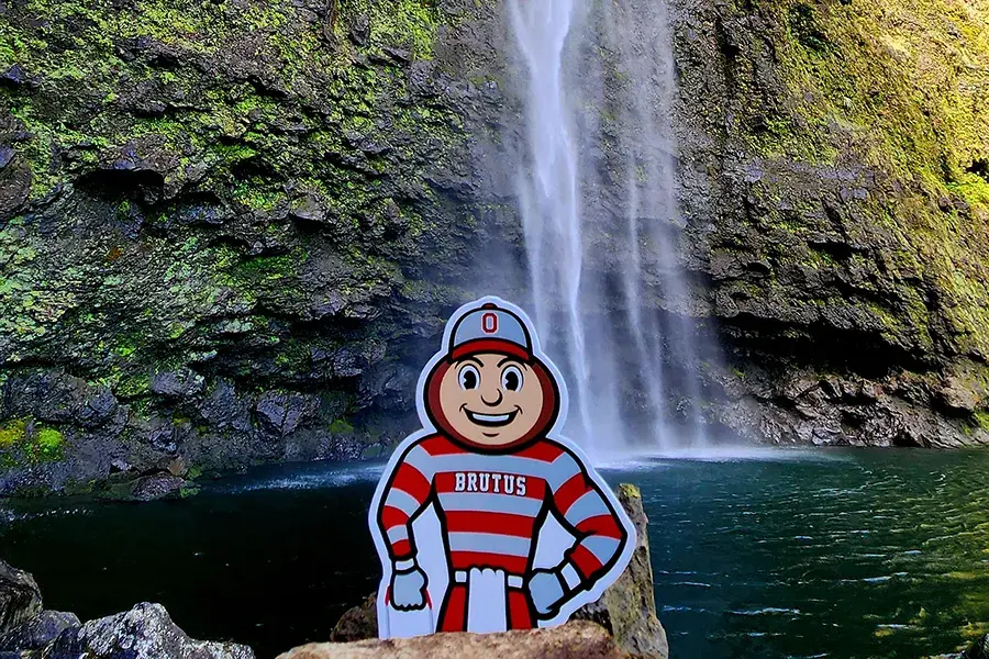 A Brutus cutout stands in front of a rocky waterfall cascading into a clear pool surrounded by green moss.