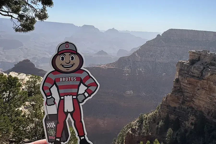 Brutus Buckeye stands at a Grand Canyon overlook, with layered canyon cliffs and deep rock formations stretching across the background under a clear blue sky.