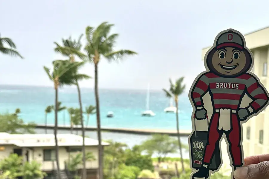 Brutus Buckeye cutout held in front of a tropical beach view with palm trees, turquoise water, and sailboats in the background.